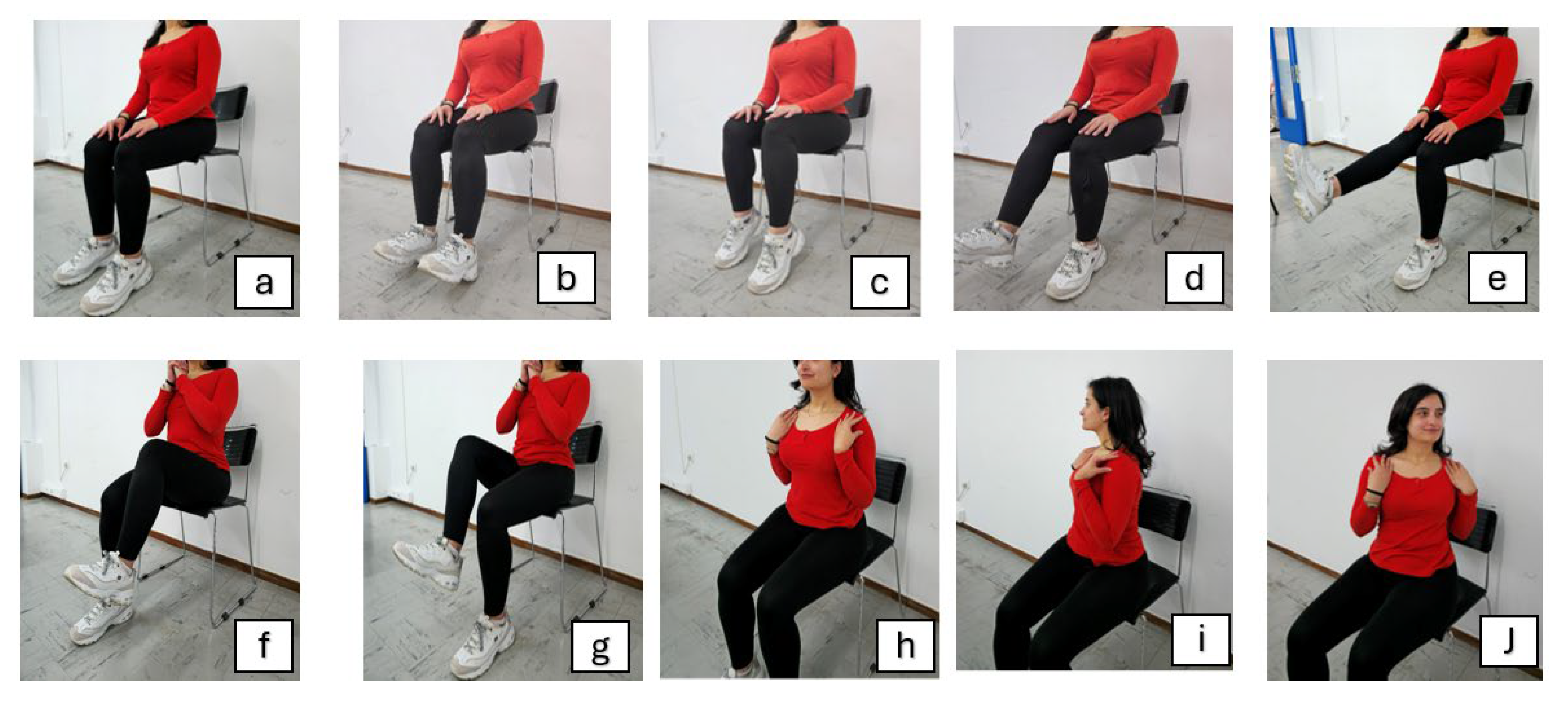 Preprints 166812 g001