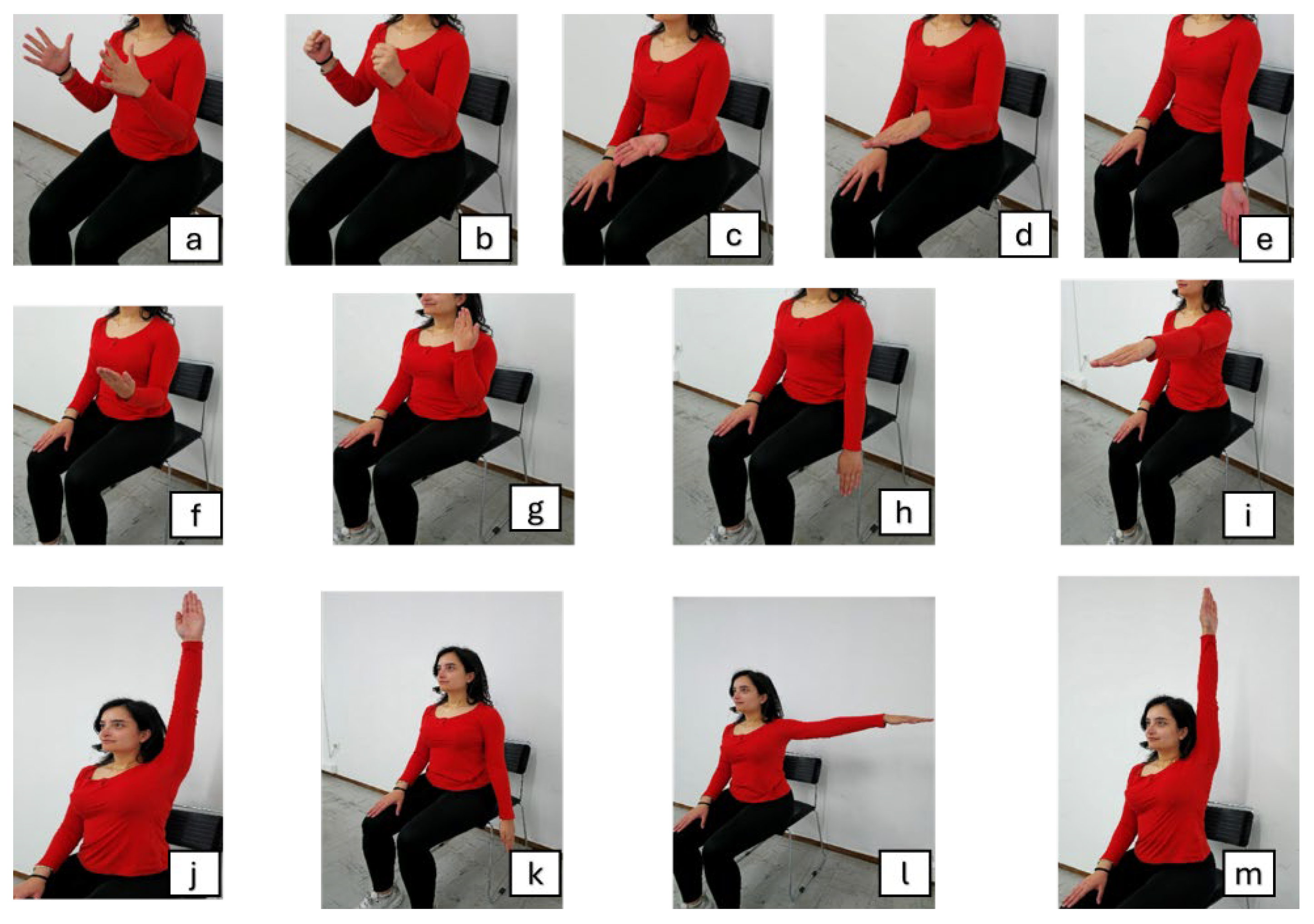 Preprints 166812 g002