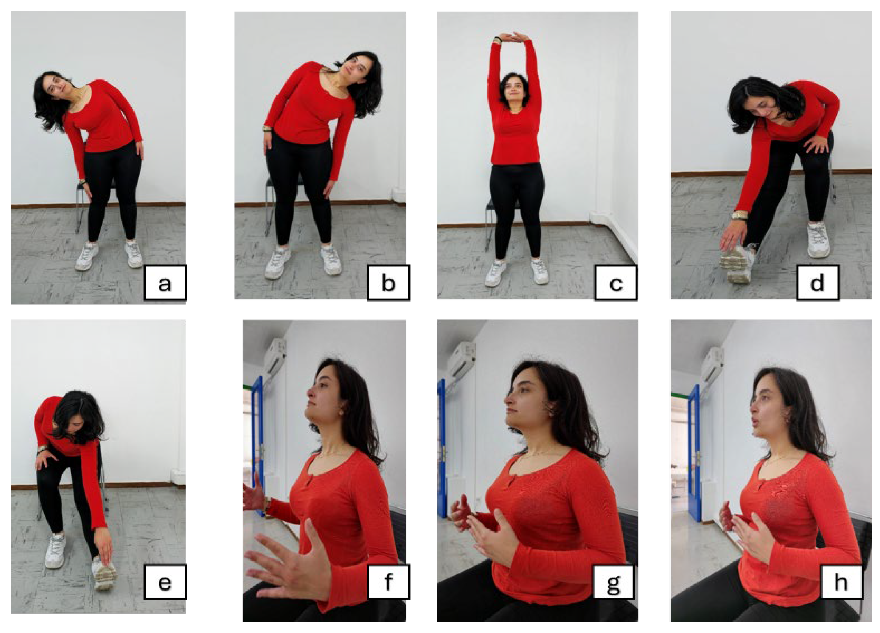 Preprints 166812 g004