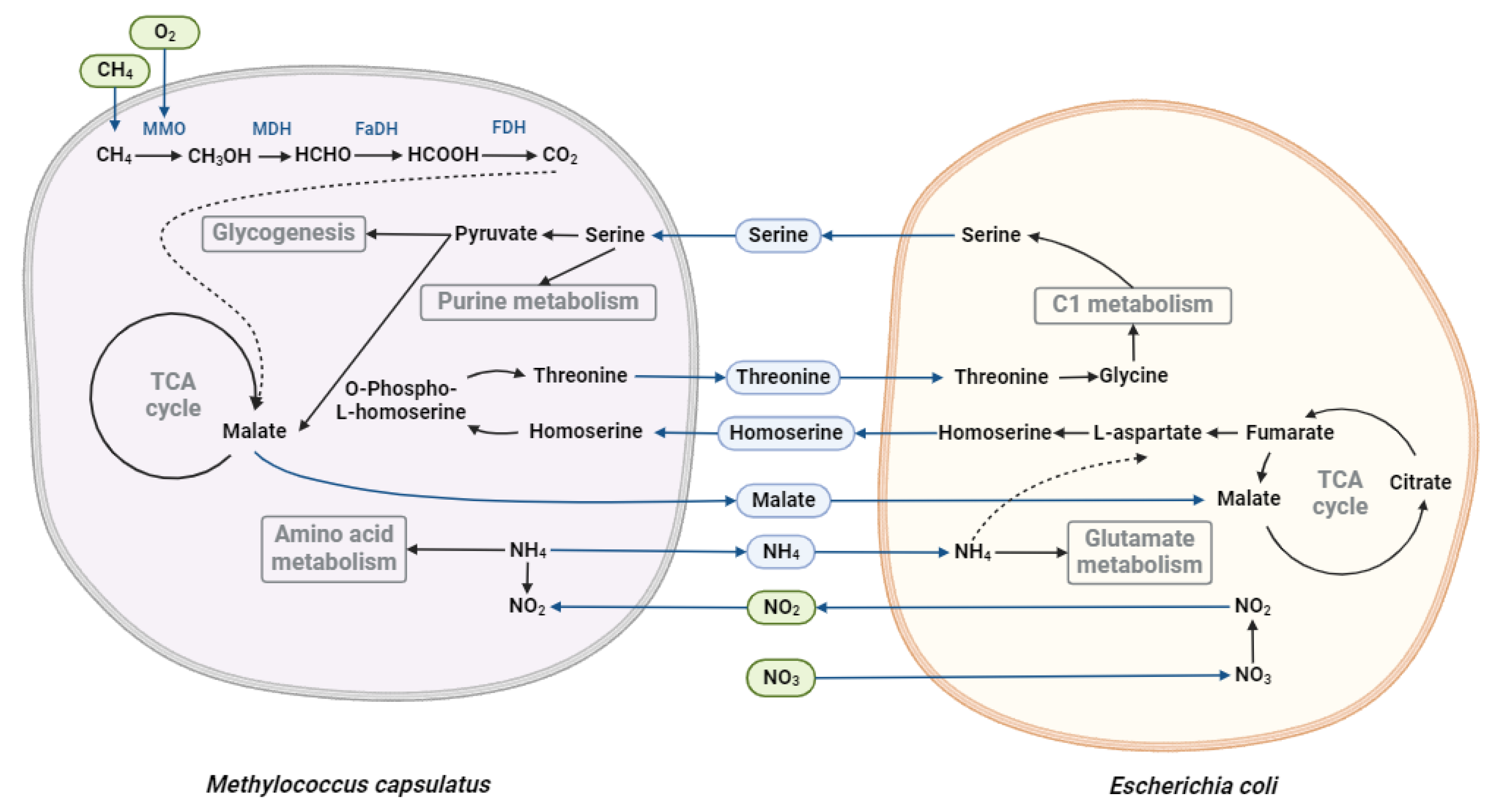 Preprints 121259 g003