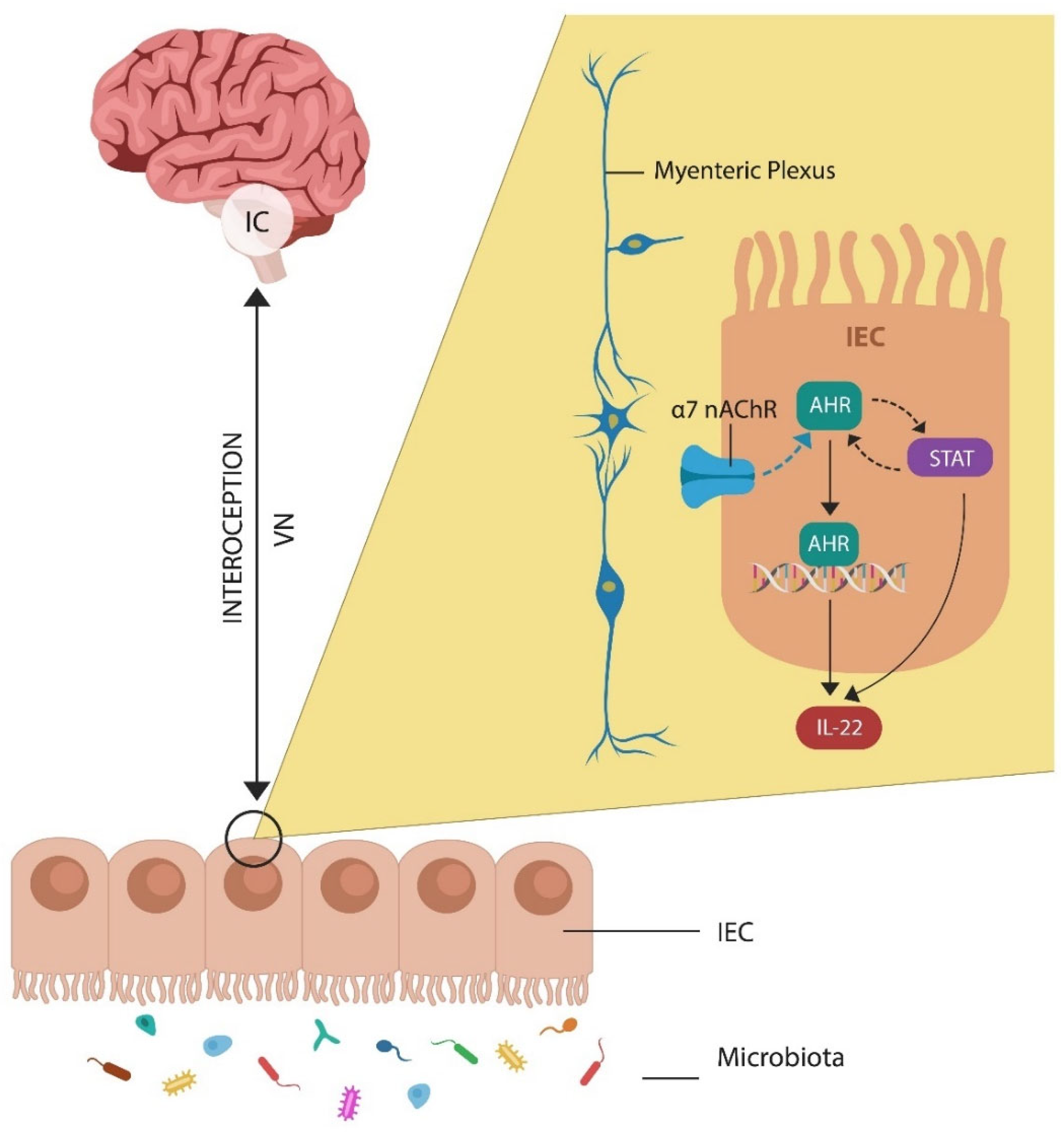 Preprints 138338 g002