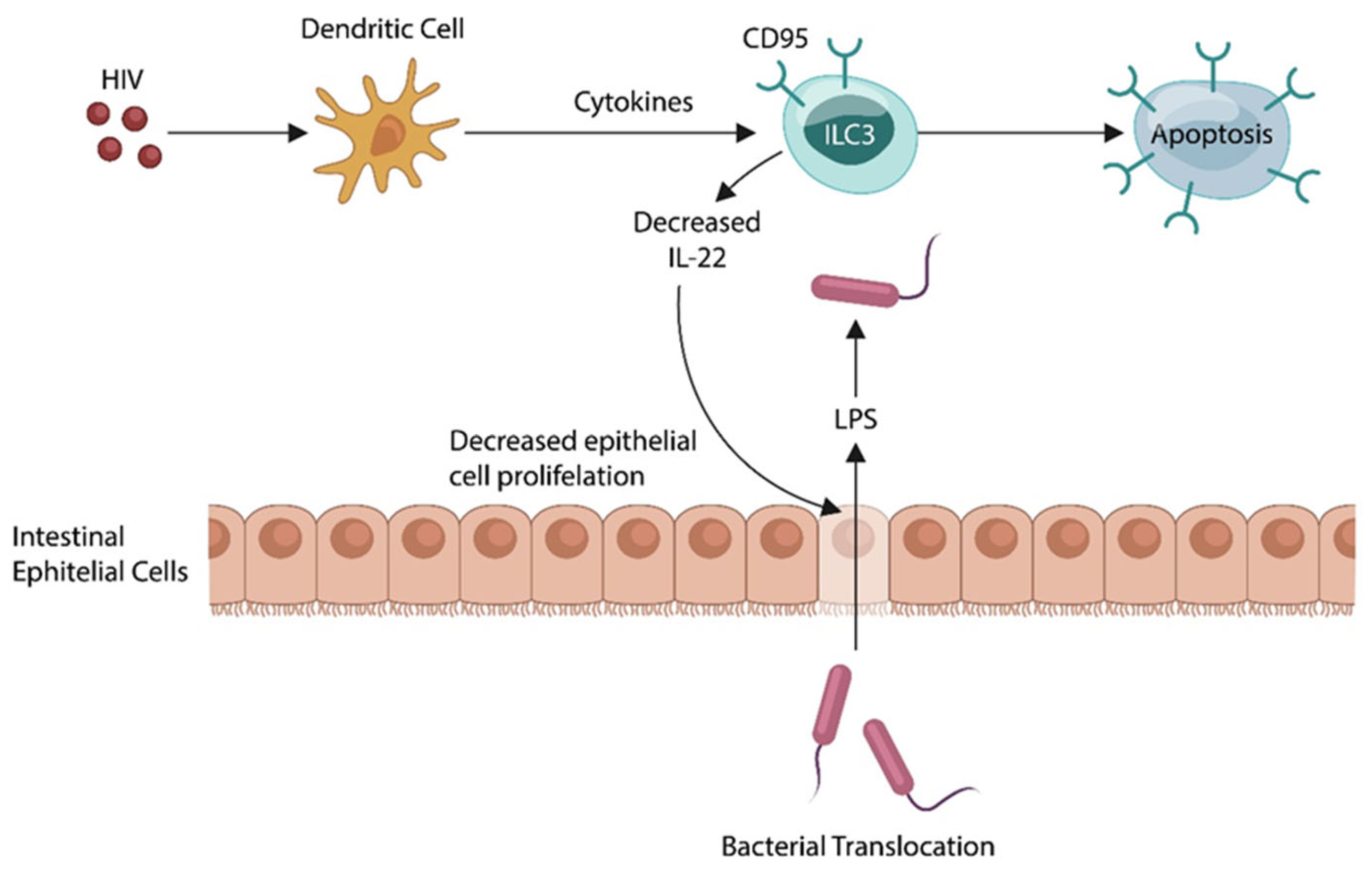 Preprints 138338 g003