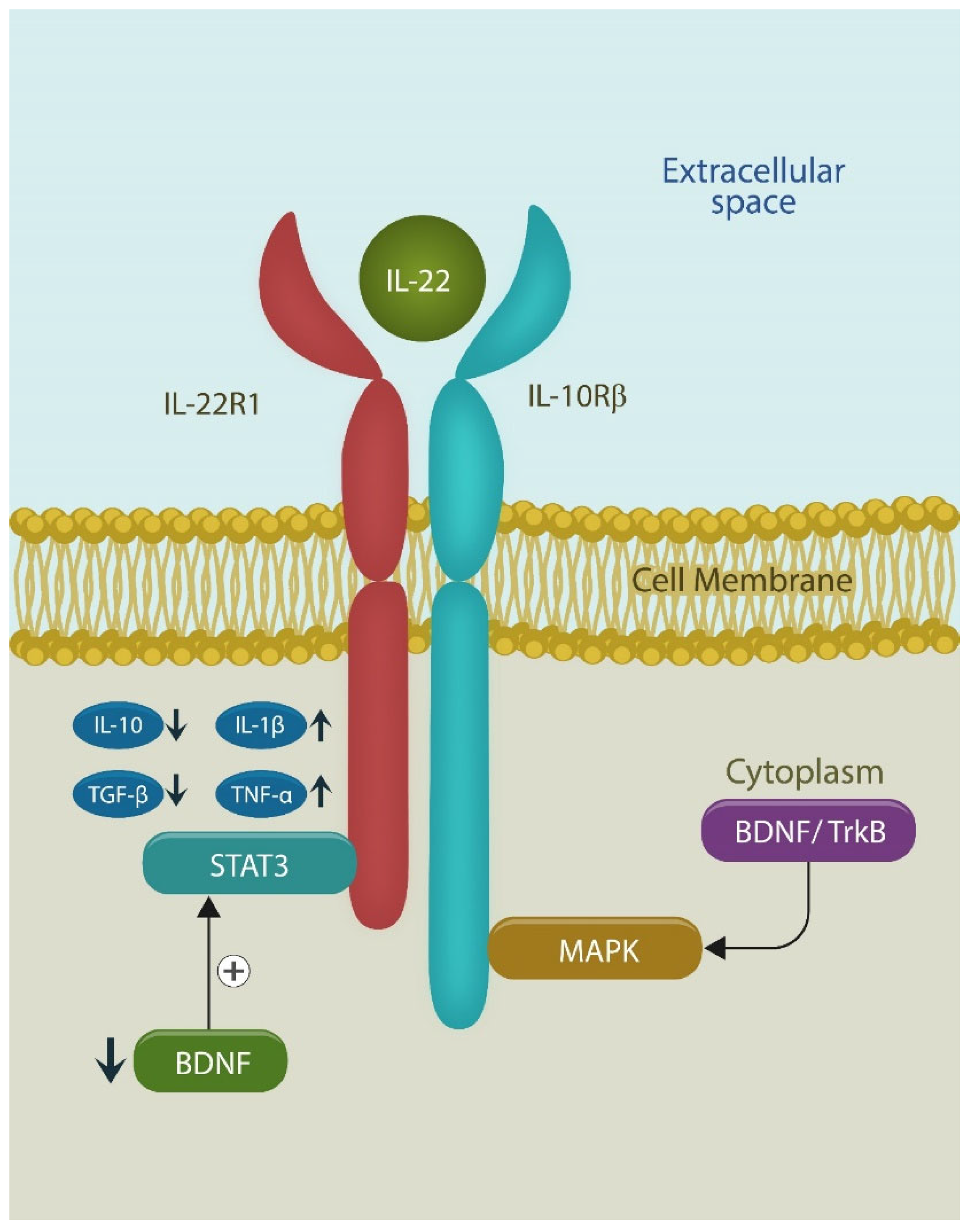 Preprints 138338 g004