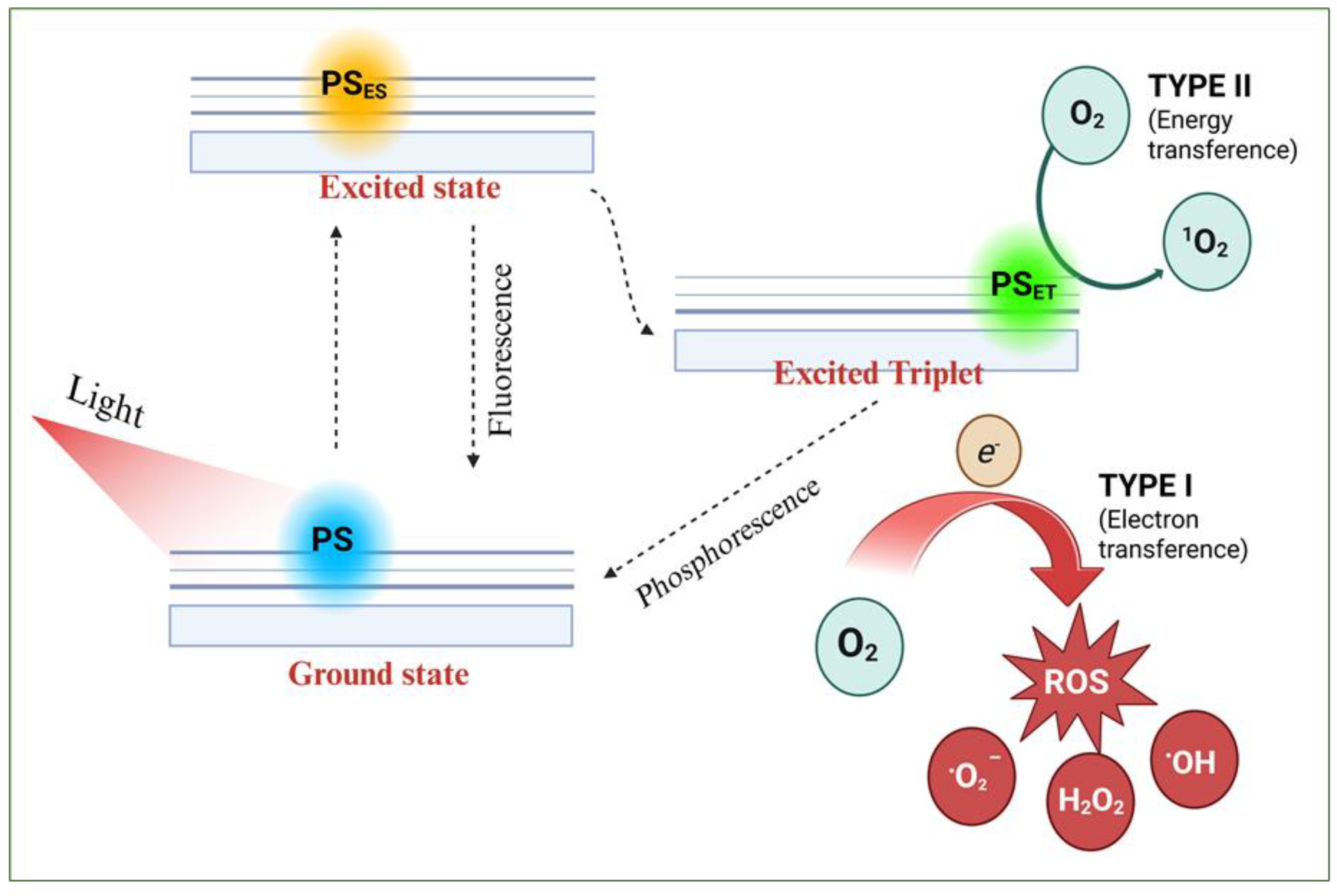 Preprints 166169 sch001