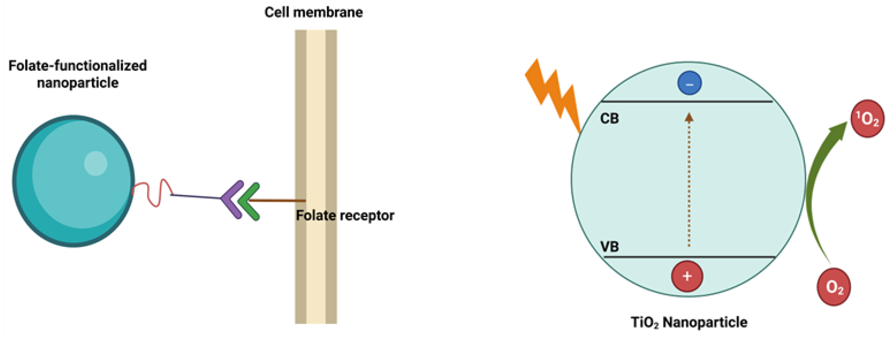 Preprints 166169 sch002