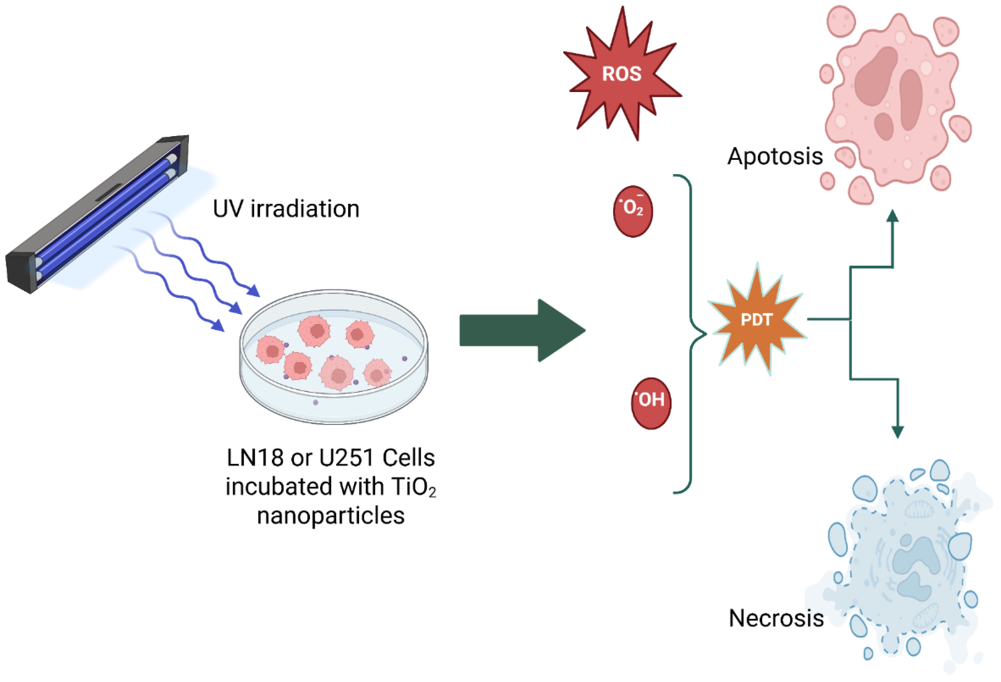 Preprints 166169 sch004