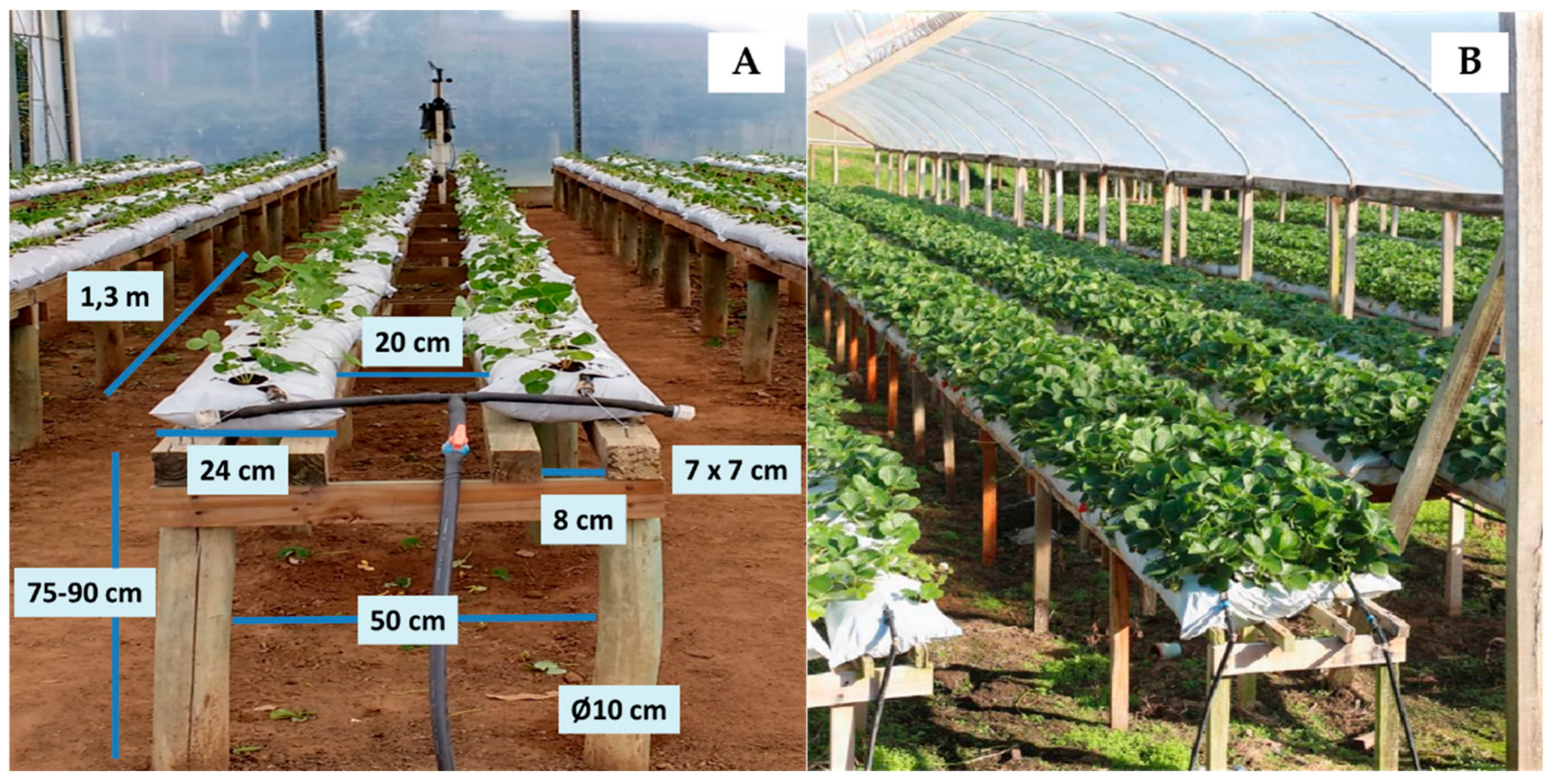 Preprints 184857 g002