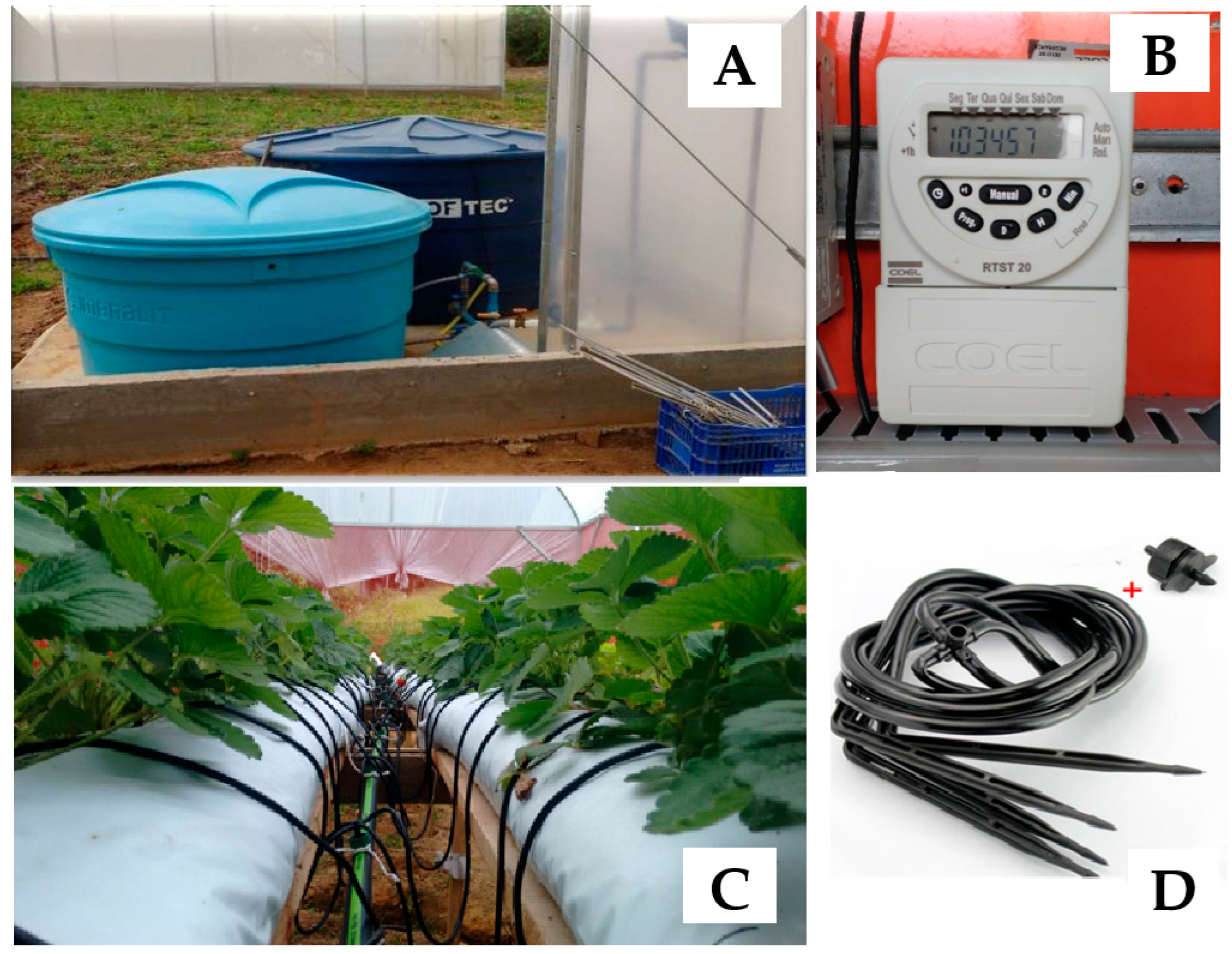 Preprints 184857 g003