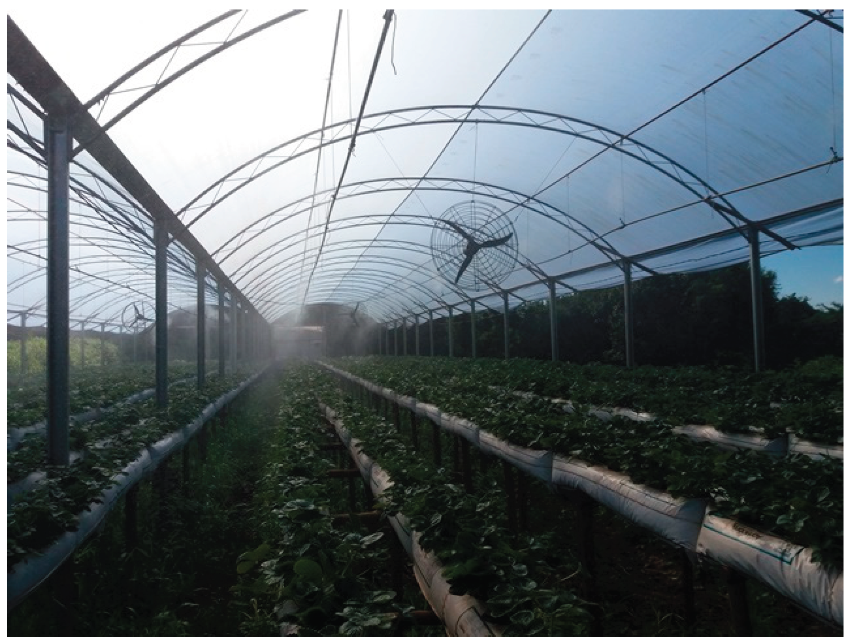 Preprints 184857 g005