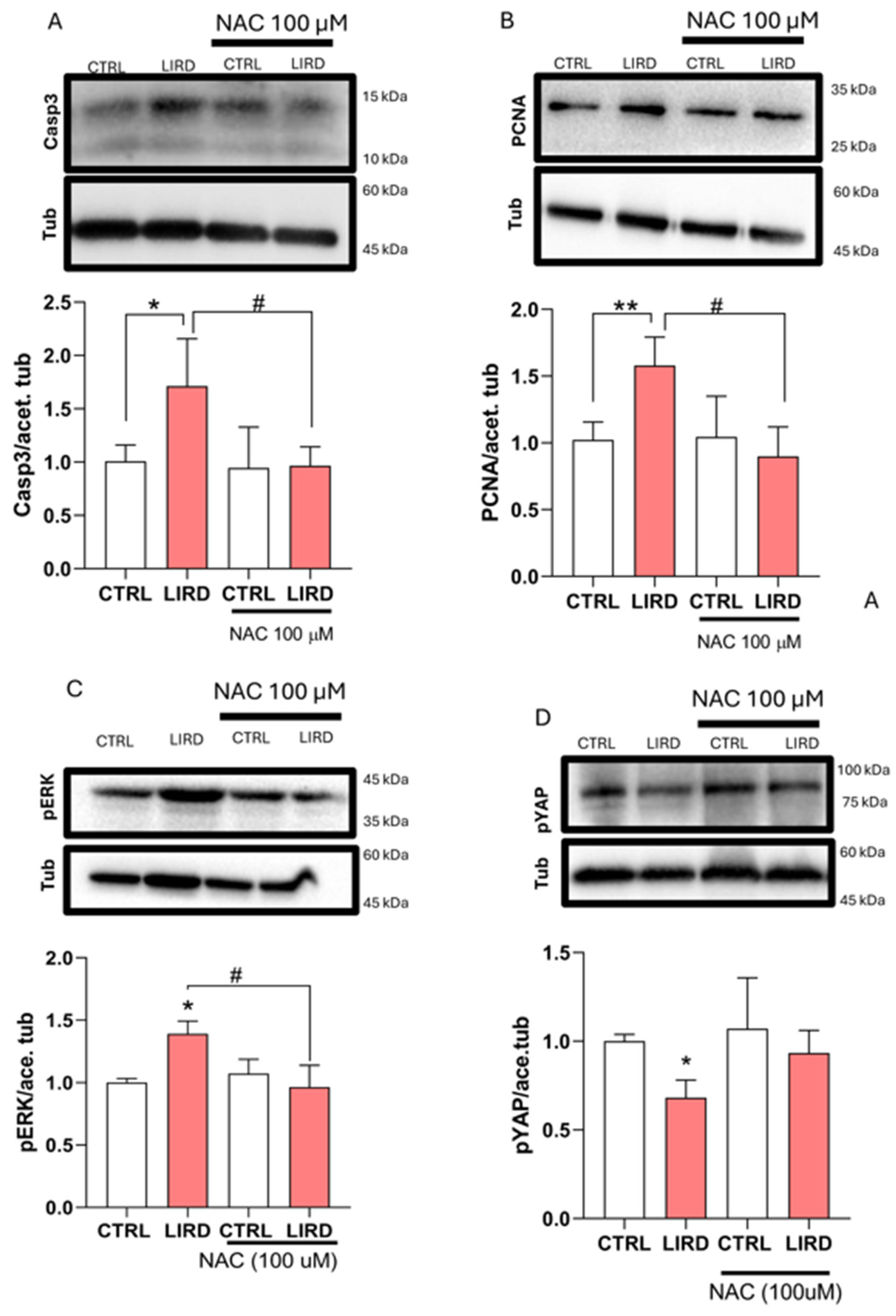 Preprints 197833 g005