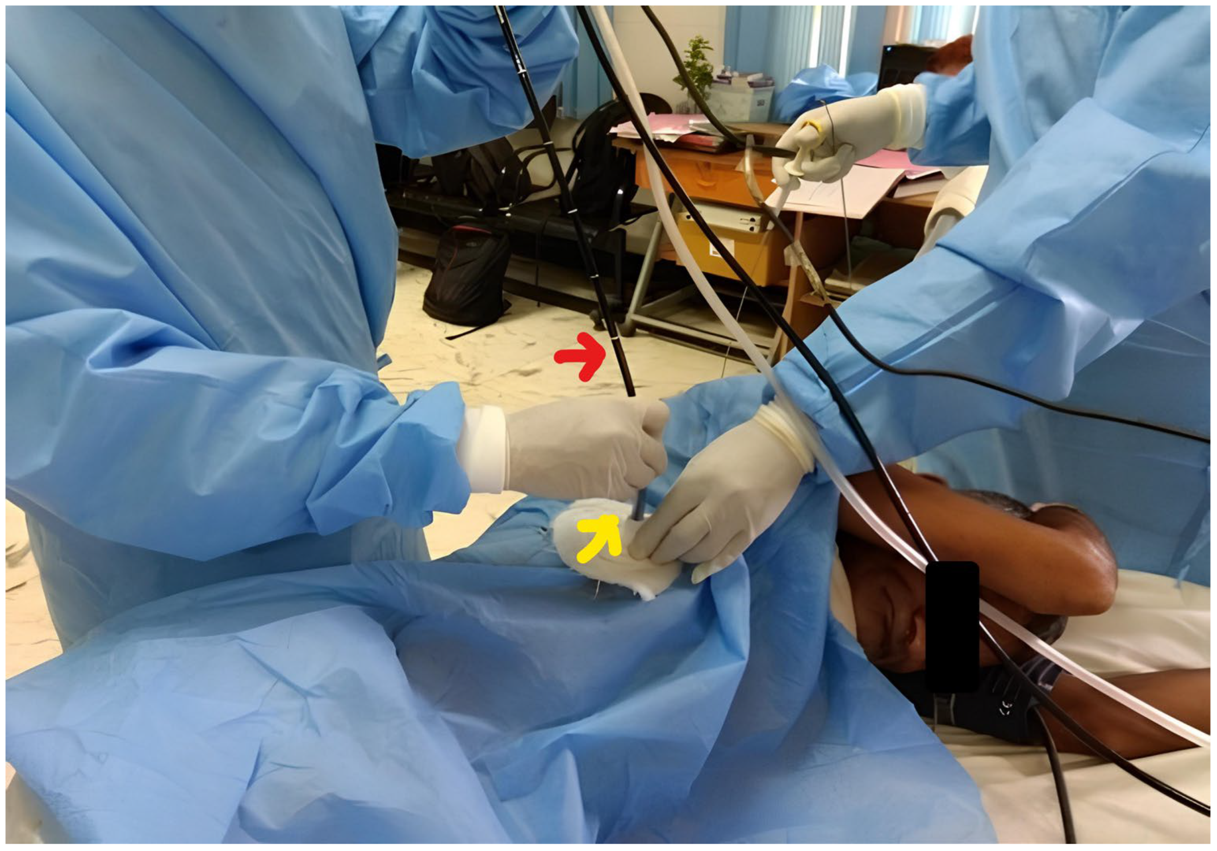 Preprints 89268 g001