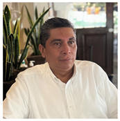 Preprints 189239 i004