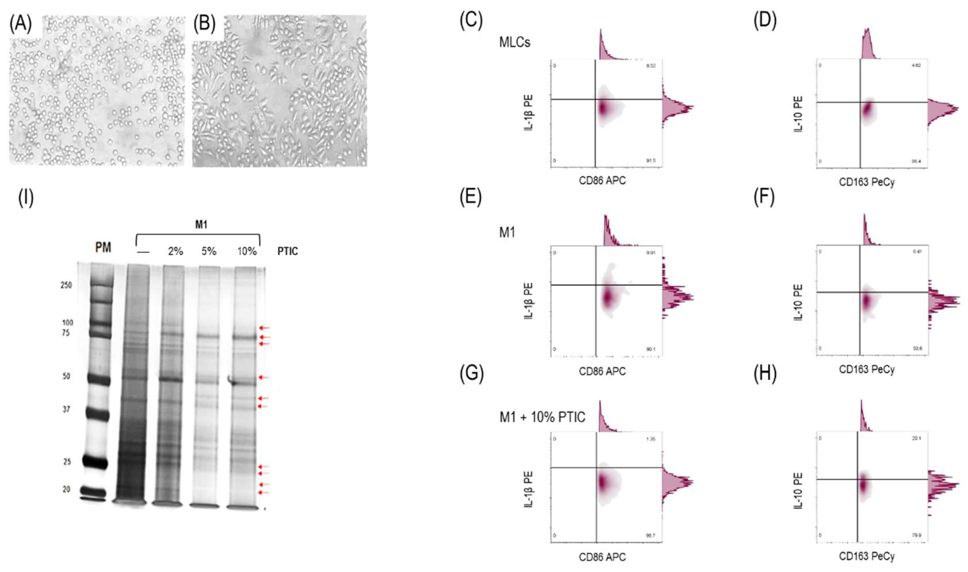 Preprints 140358 g001