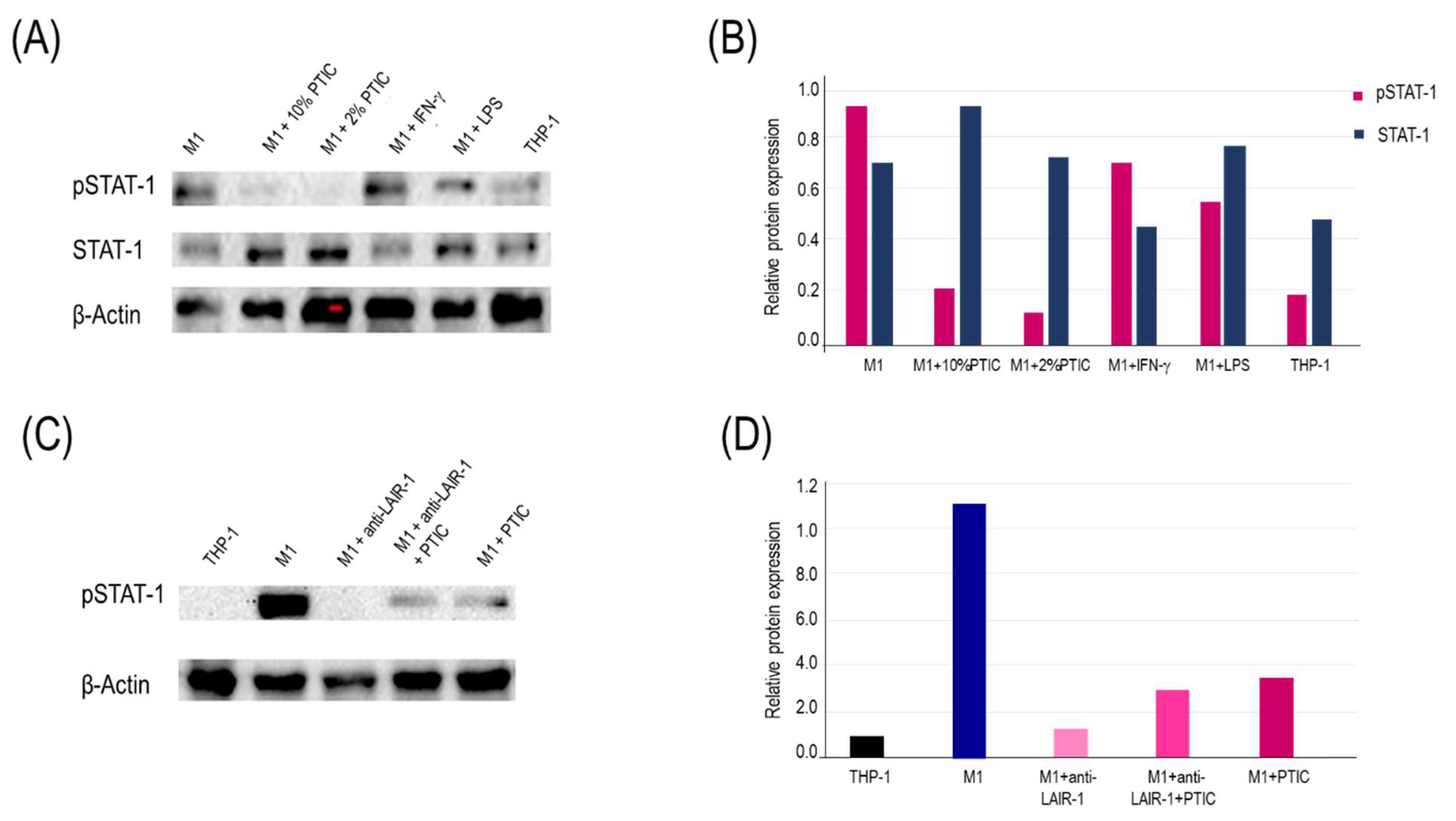 Preprints 140358 g003