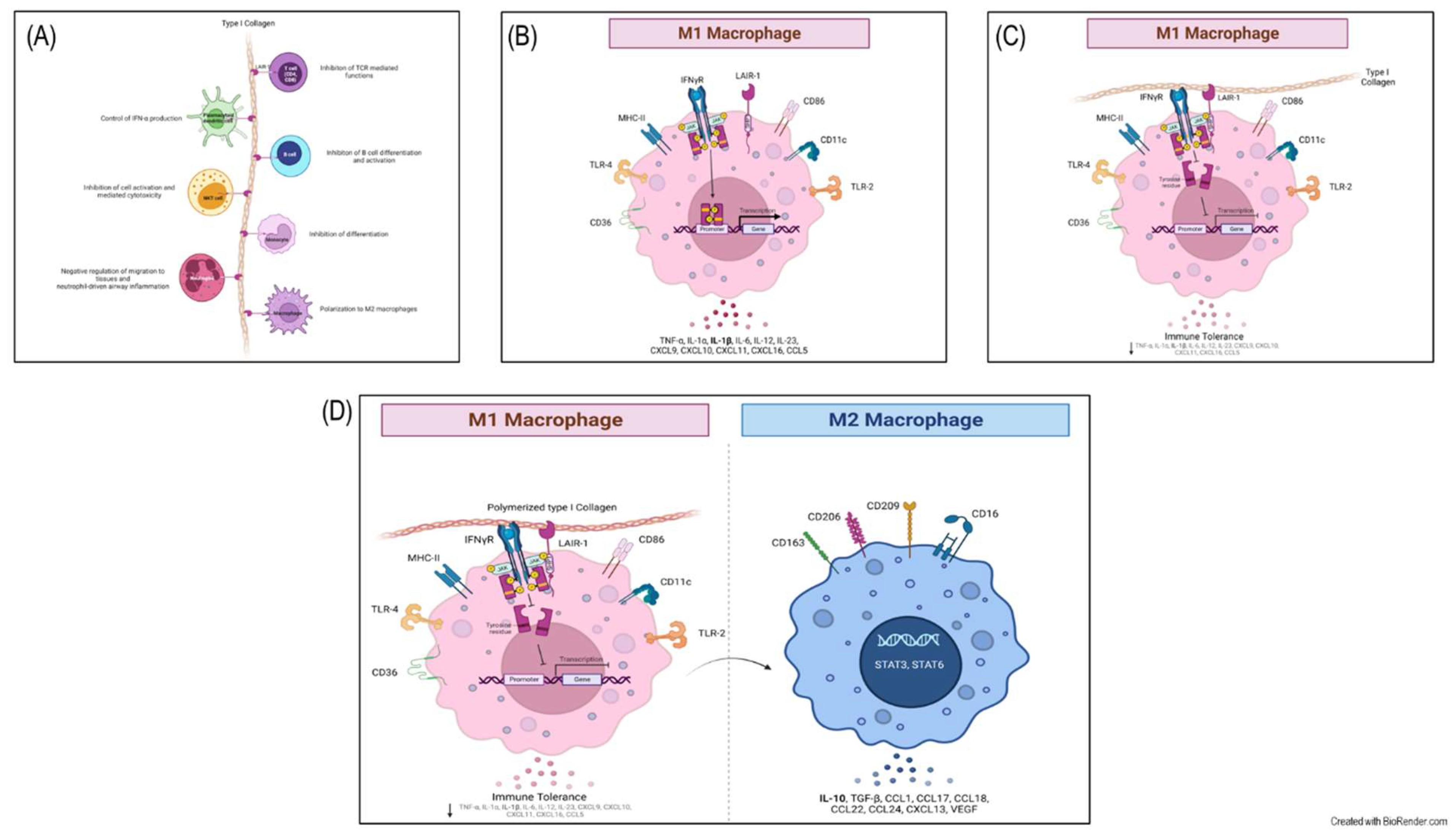 Preprints 140358 g008