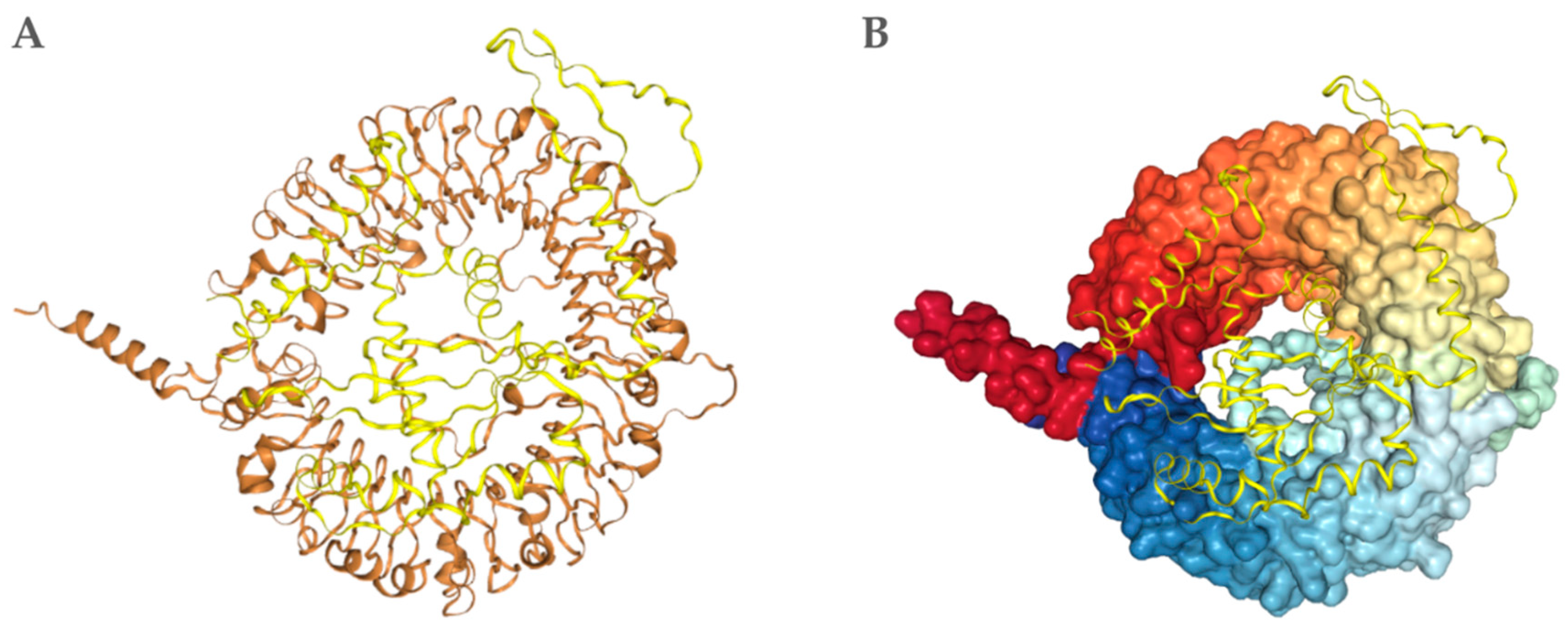 Preprints 198478 g006