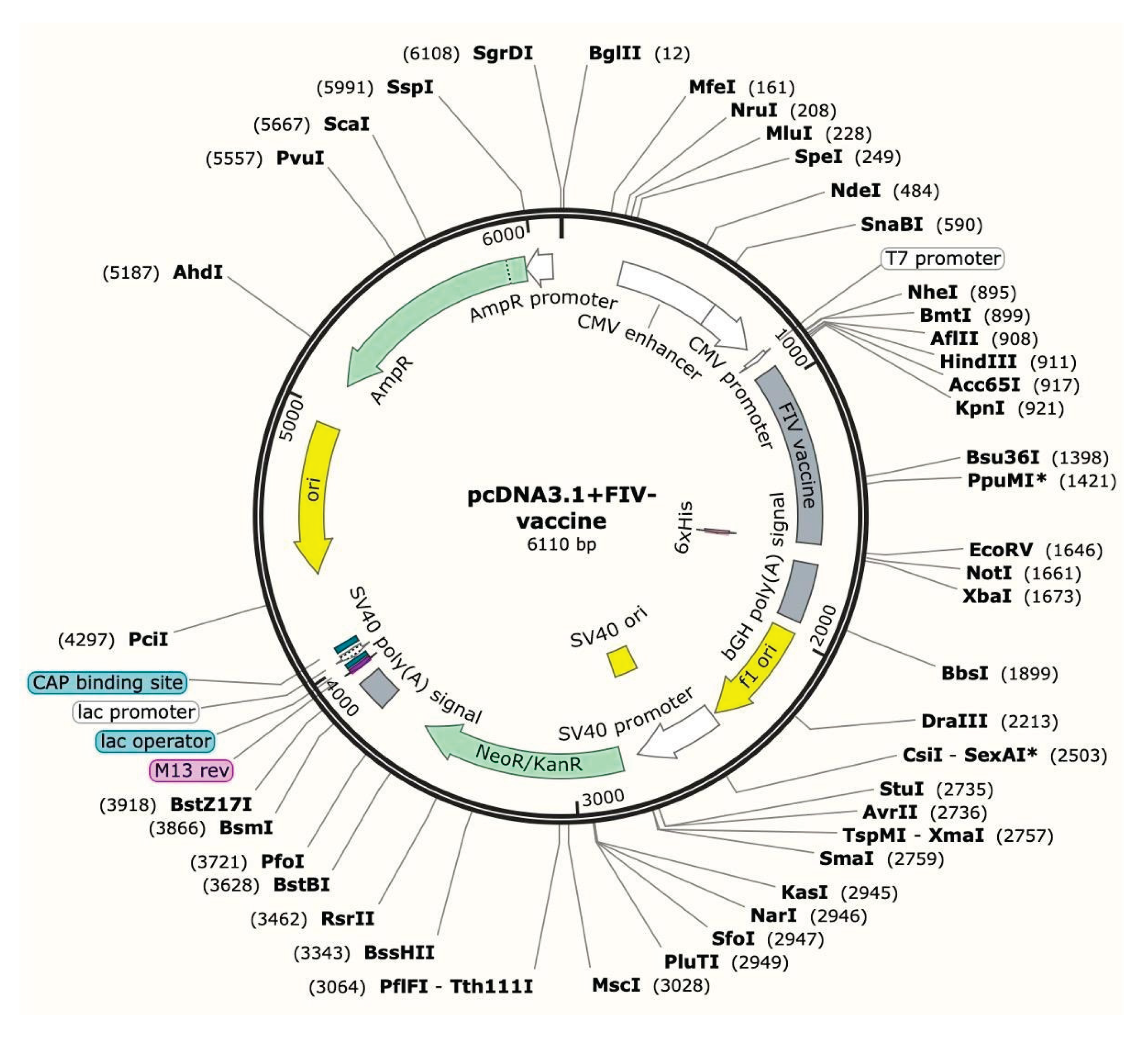 Preprints 198478 g008