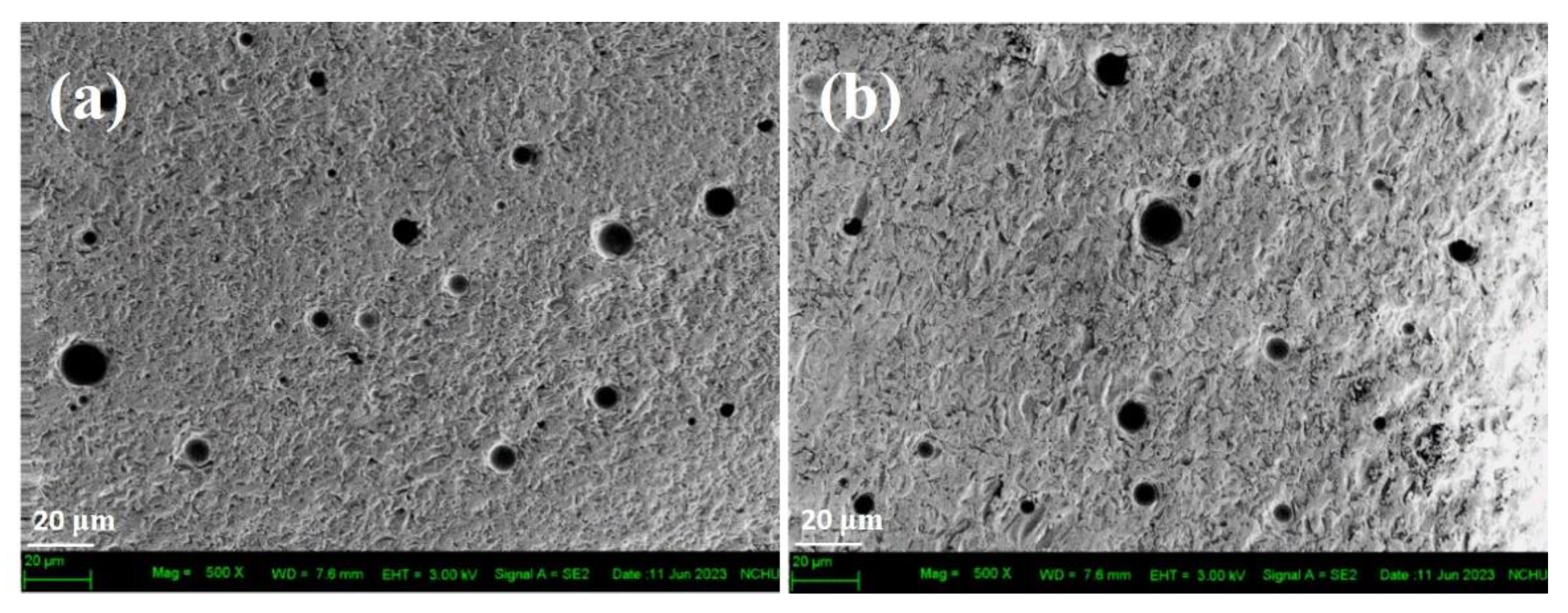 Preprints 111381 g006