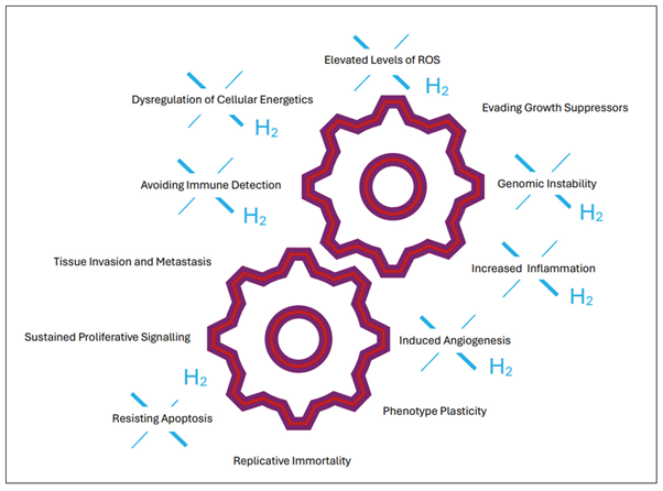 Preprints 113683 g001