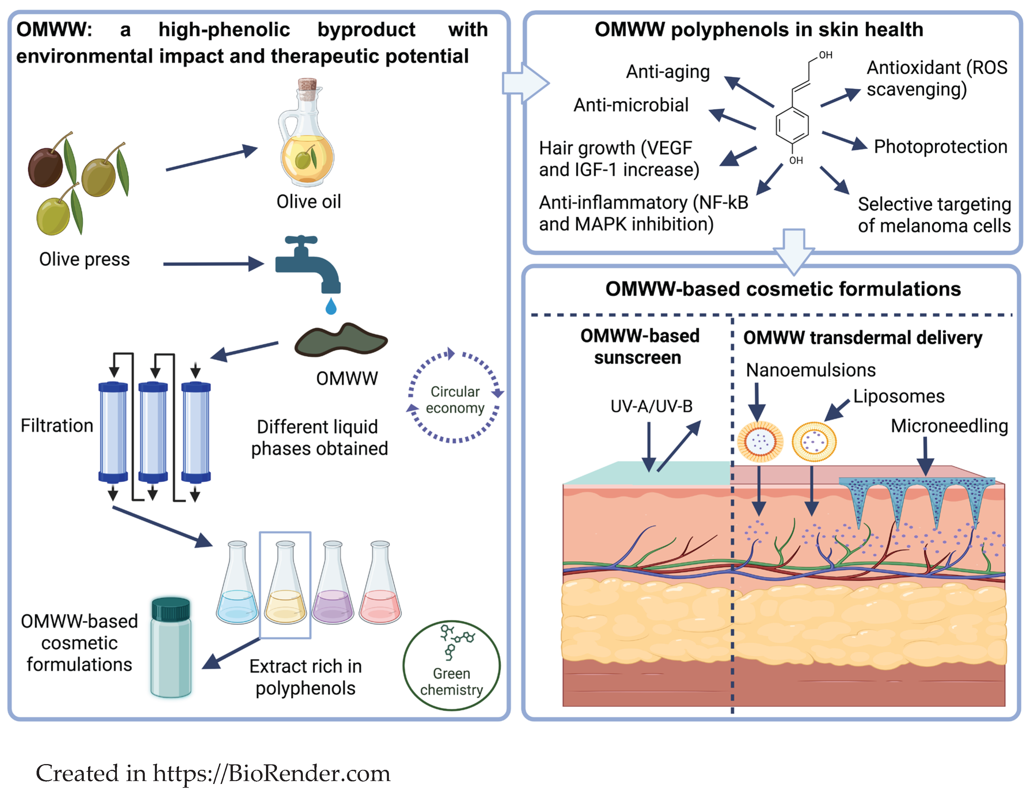 Preprints 159368 g001