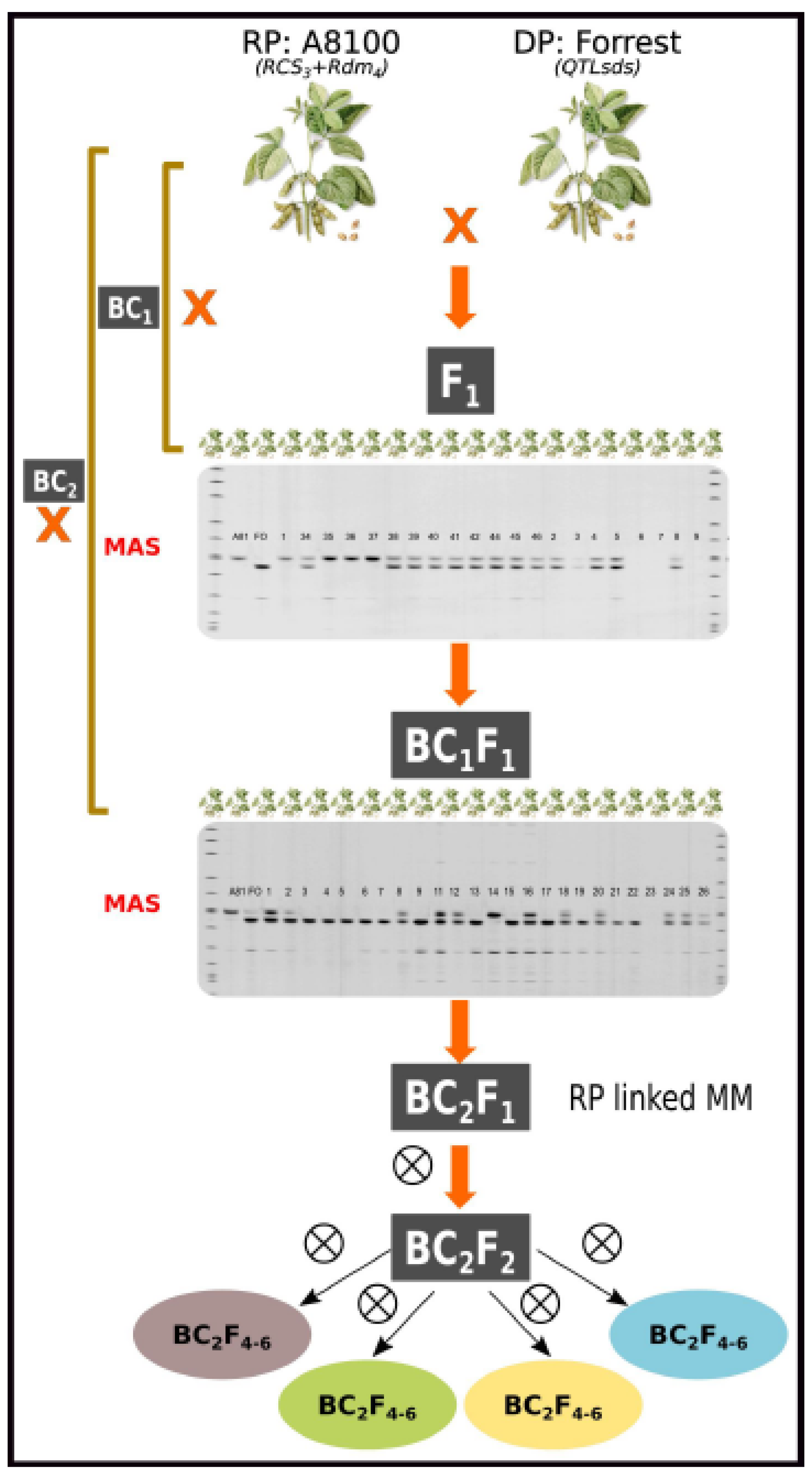 Preprints 198476 g001