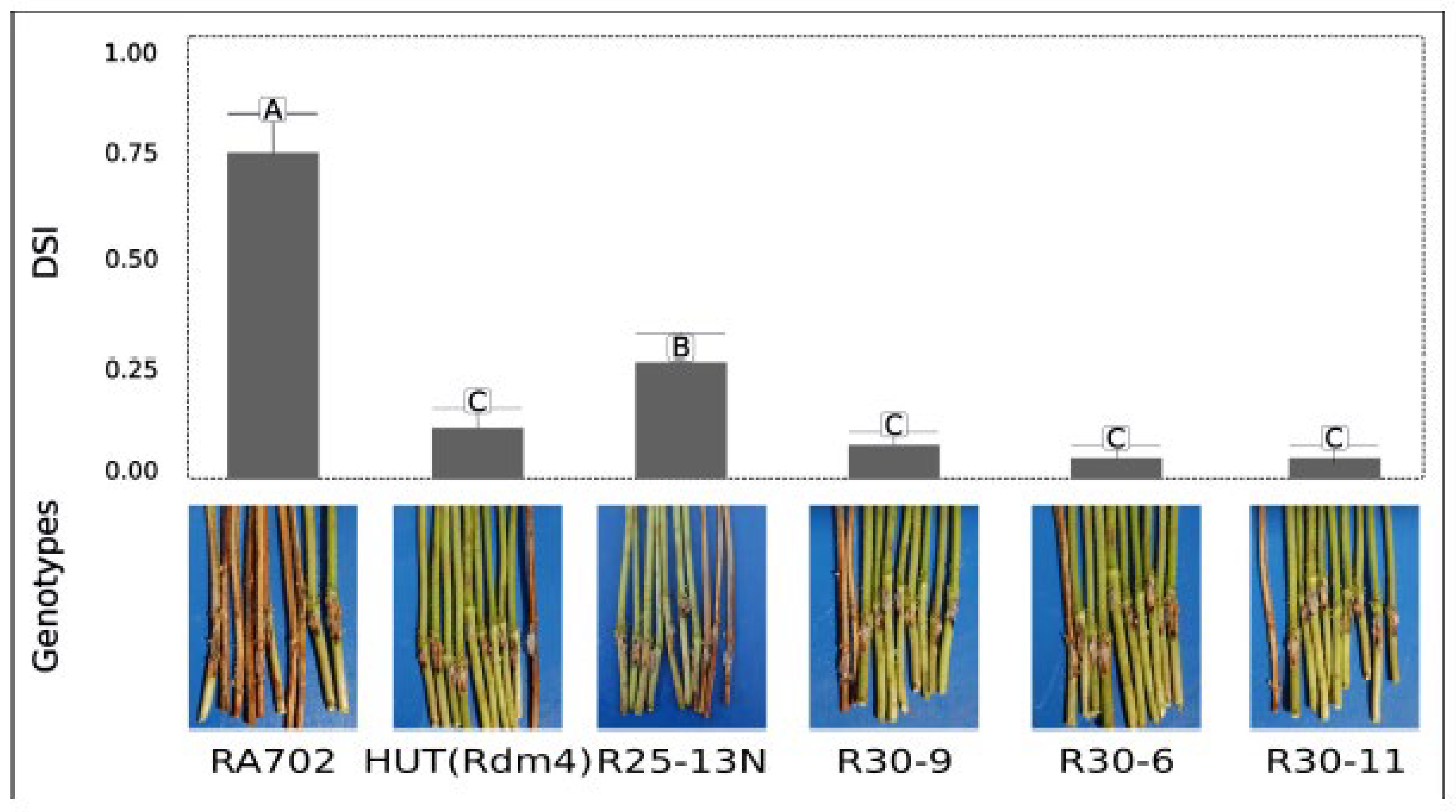 Preprints 198476 g002
