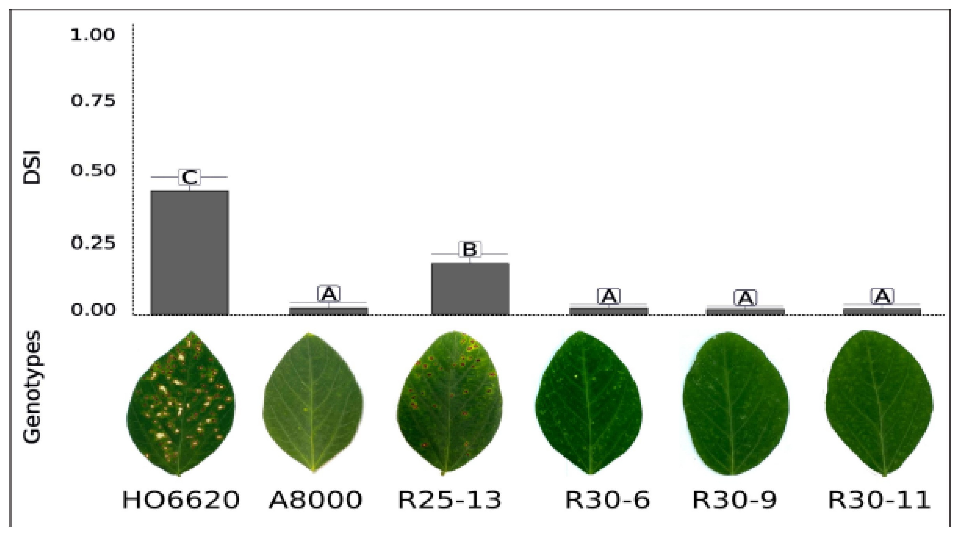 Preprints 198476 g003