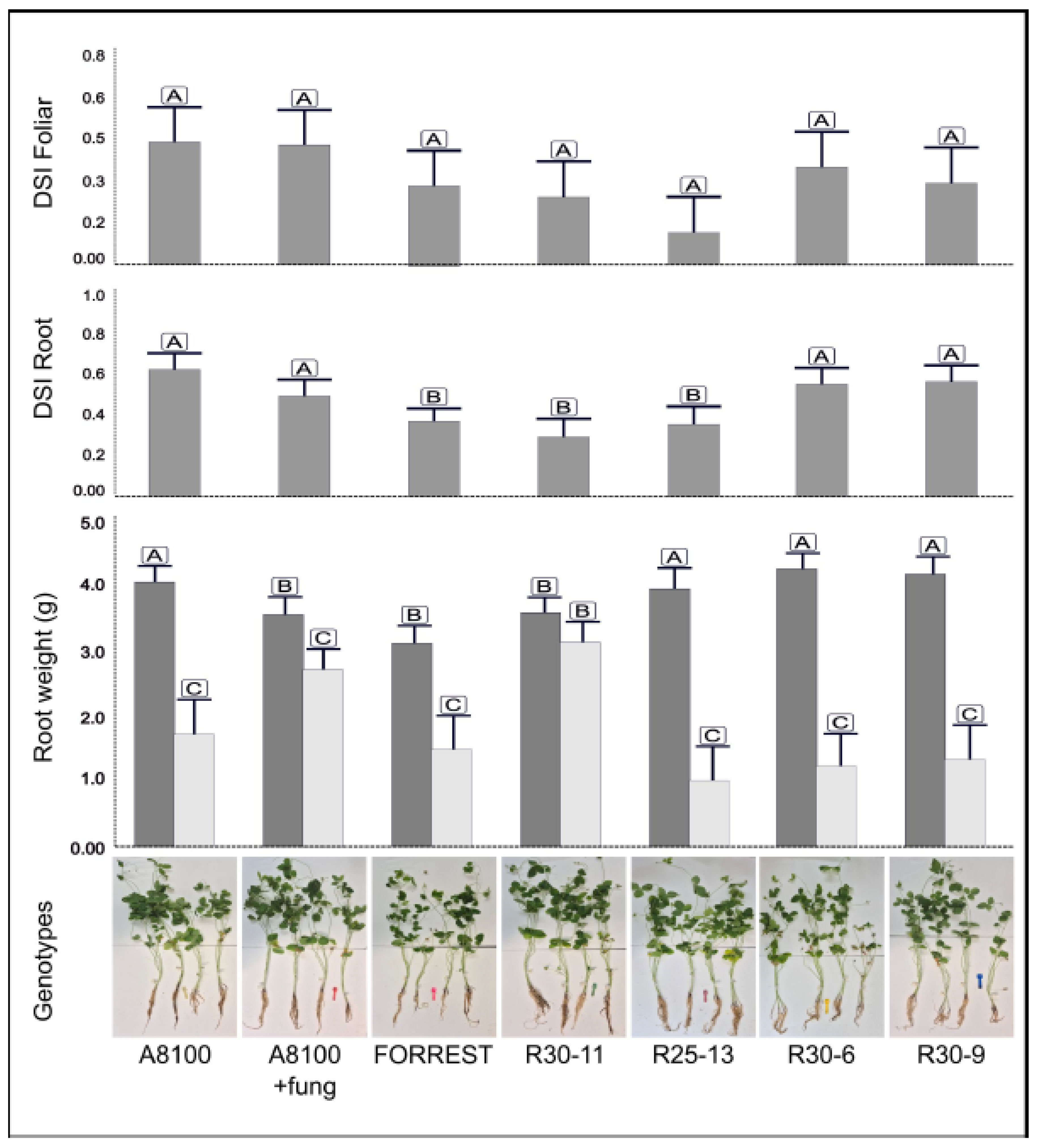 Preprints 198476 g004
