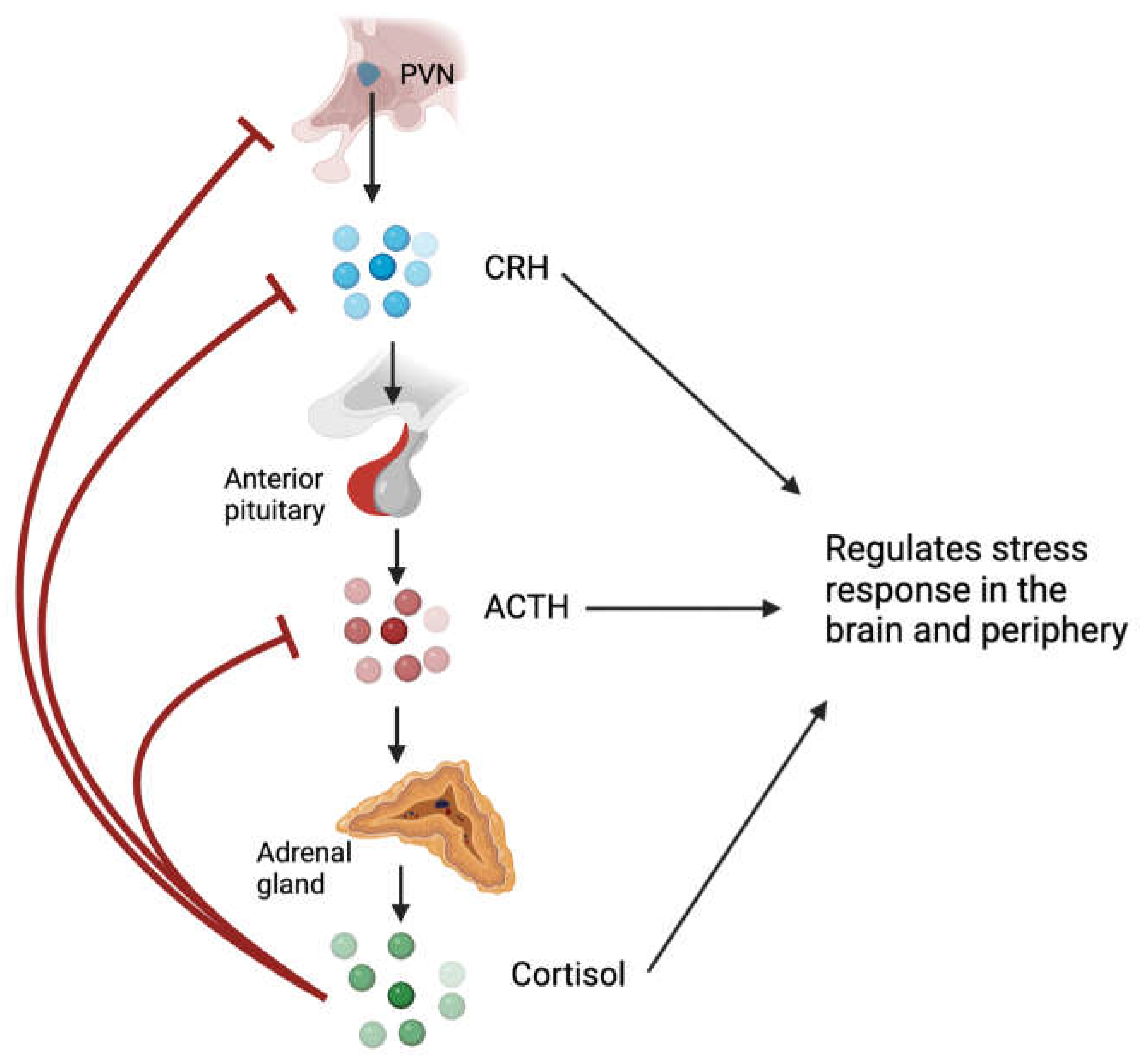 Preprints 78153 g001
