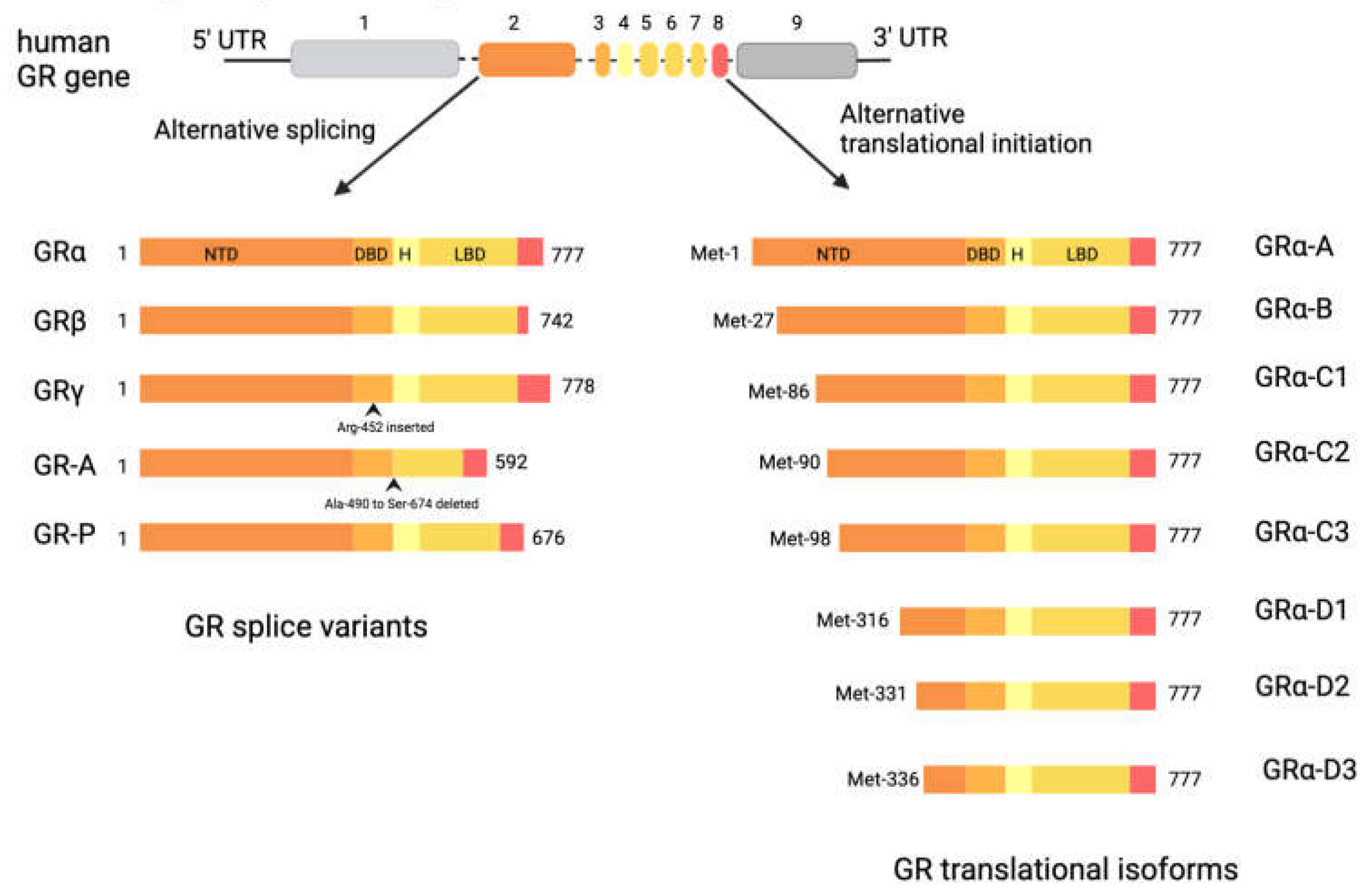 Preprints 78153 g002