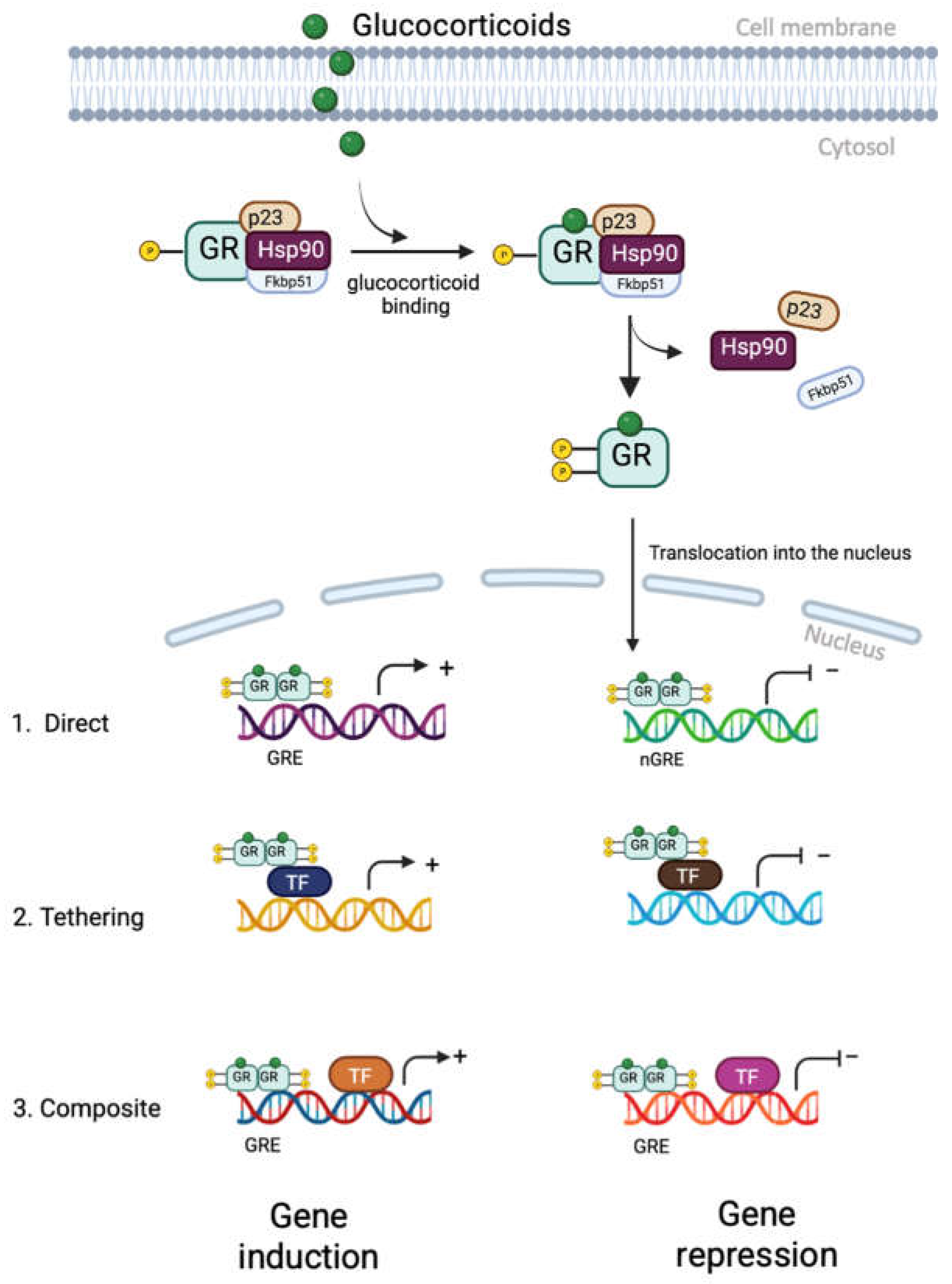 Preprints 78153 g003