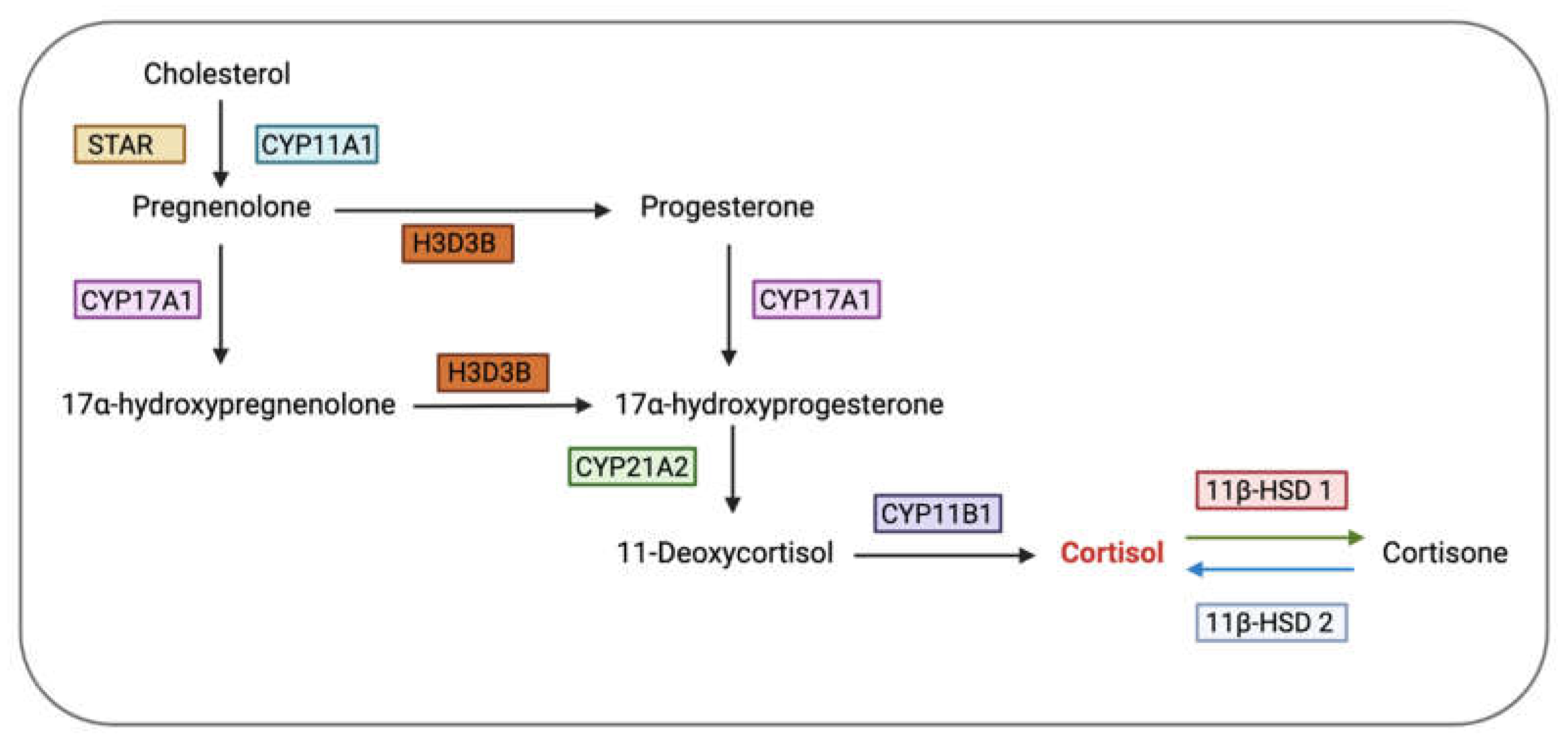 Preprints 78153 g004