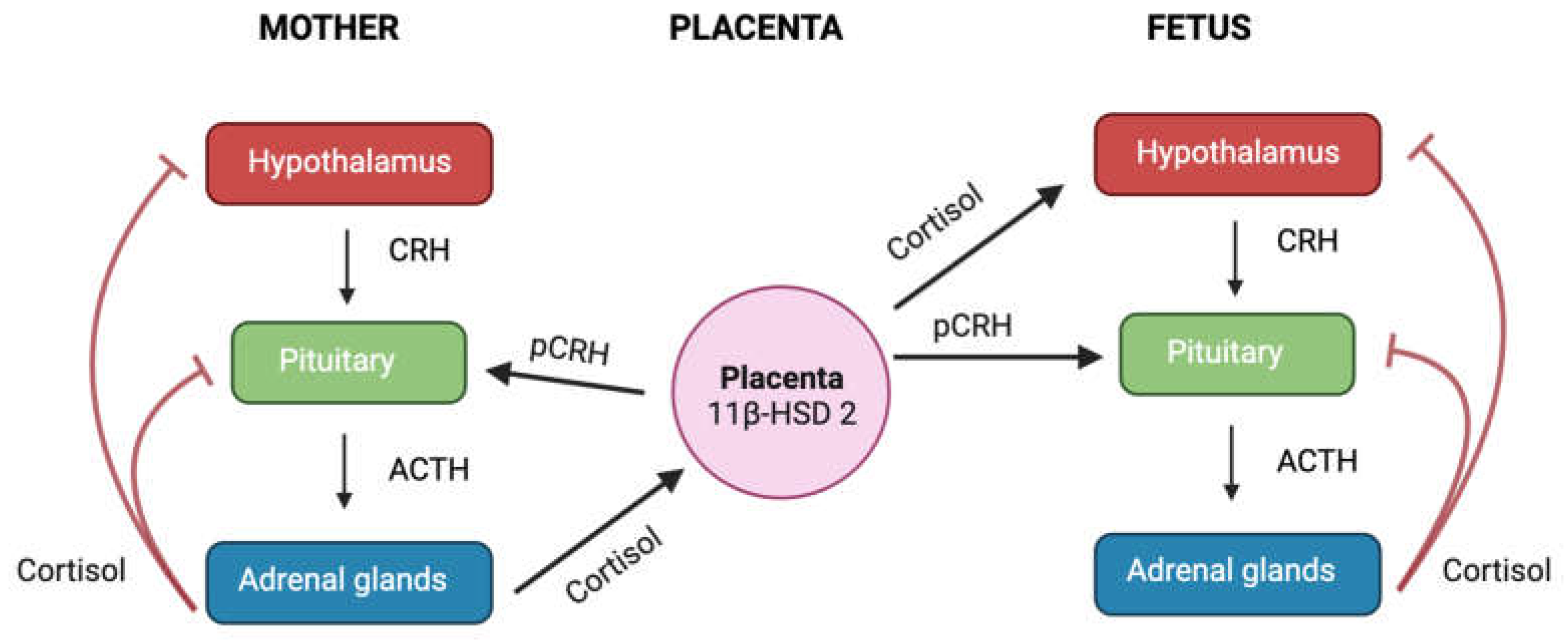 Preprints 78153 g005