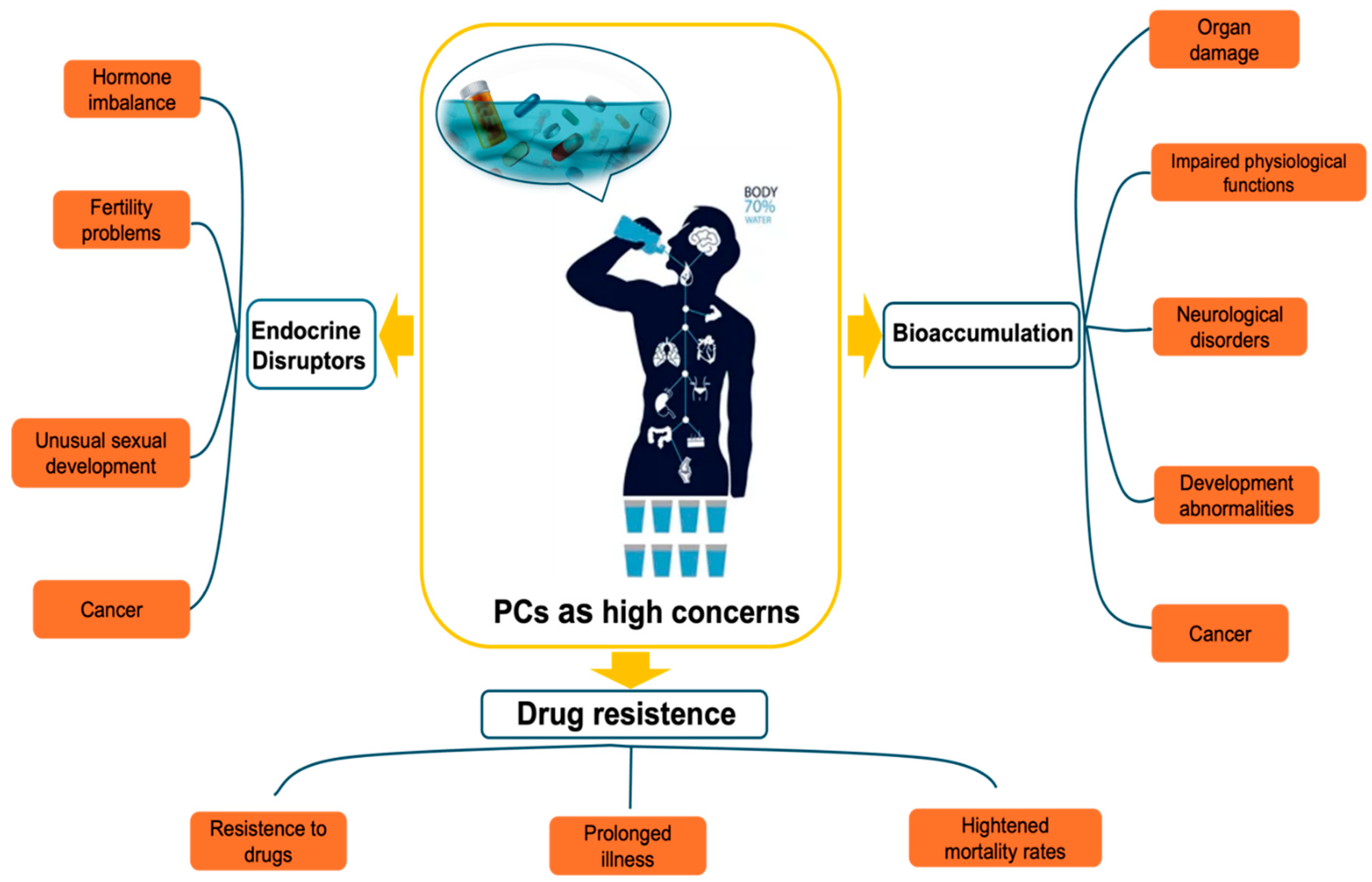 Preprints 147874 g003