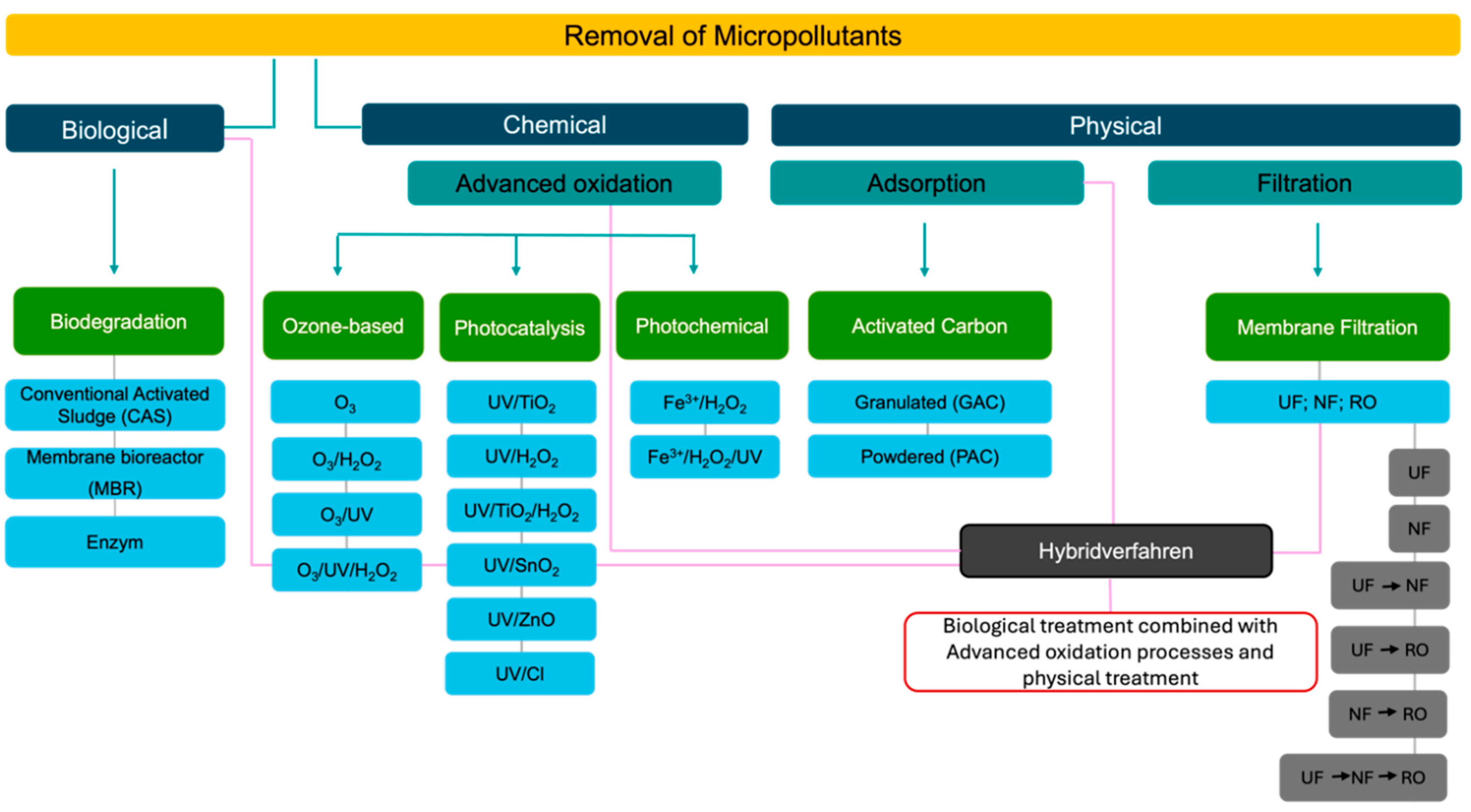 Preprints 147874 g005