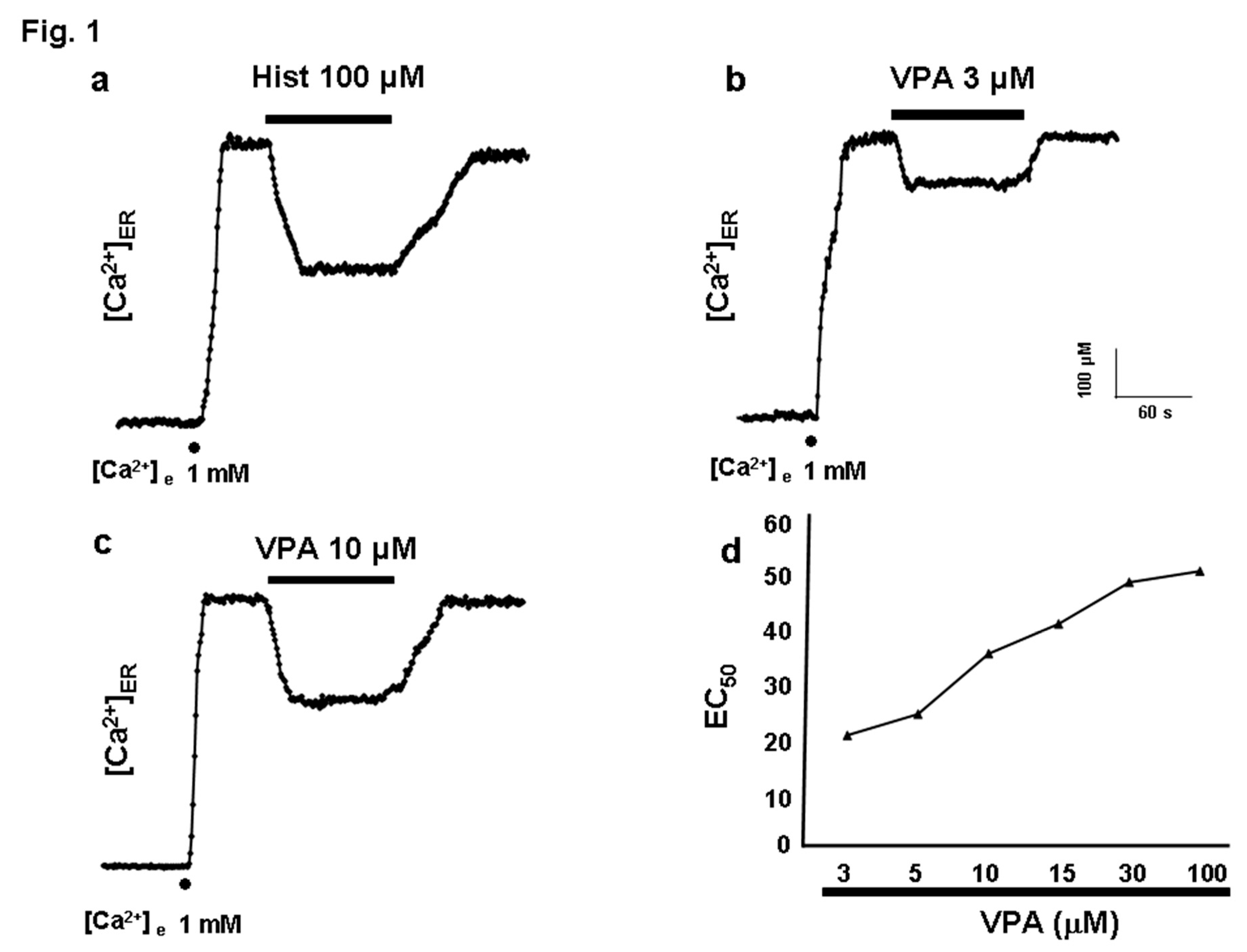 Preprints 189337 g001