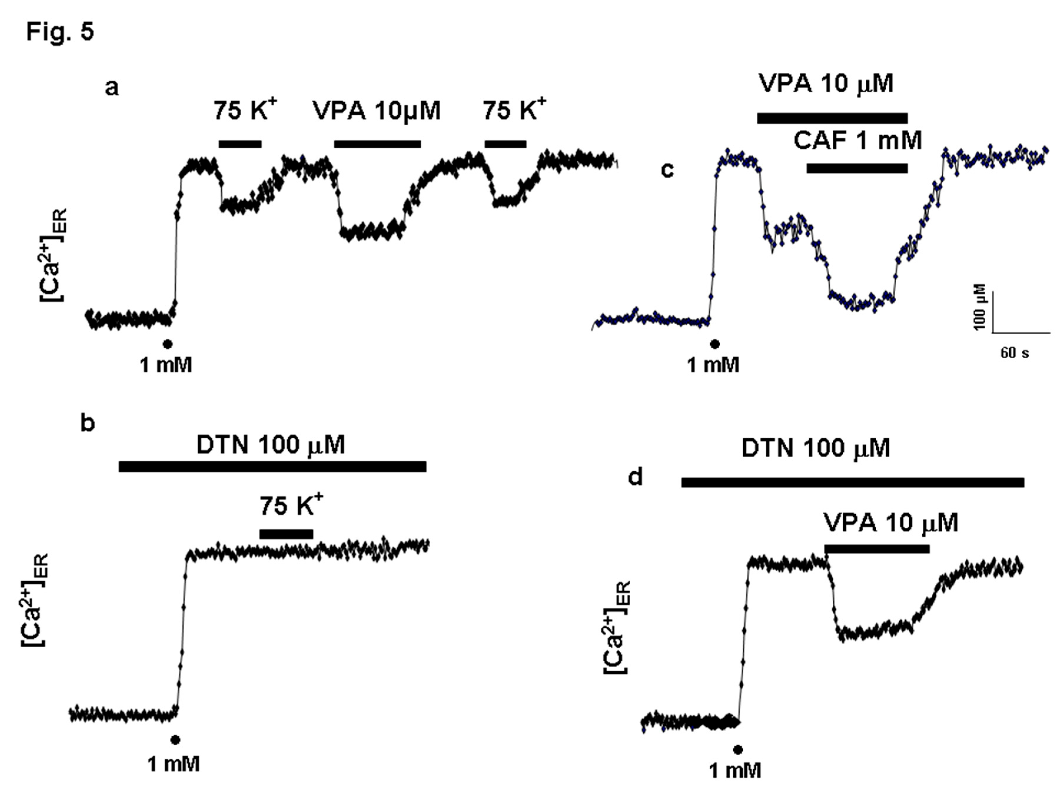 Preprints 189337 g005
