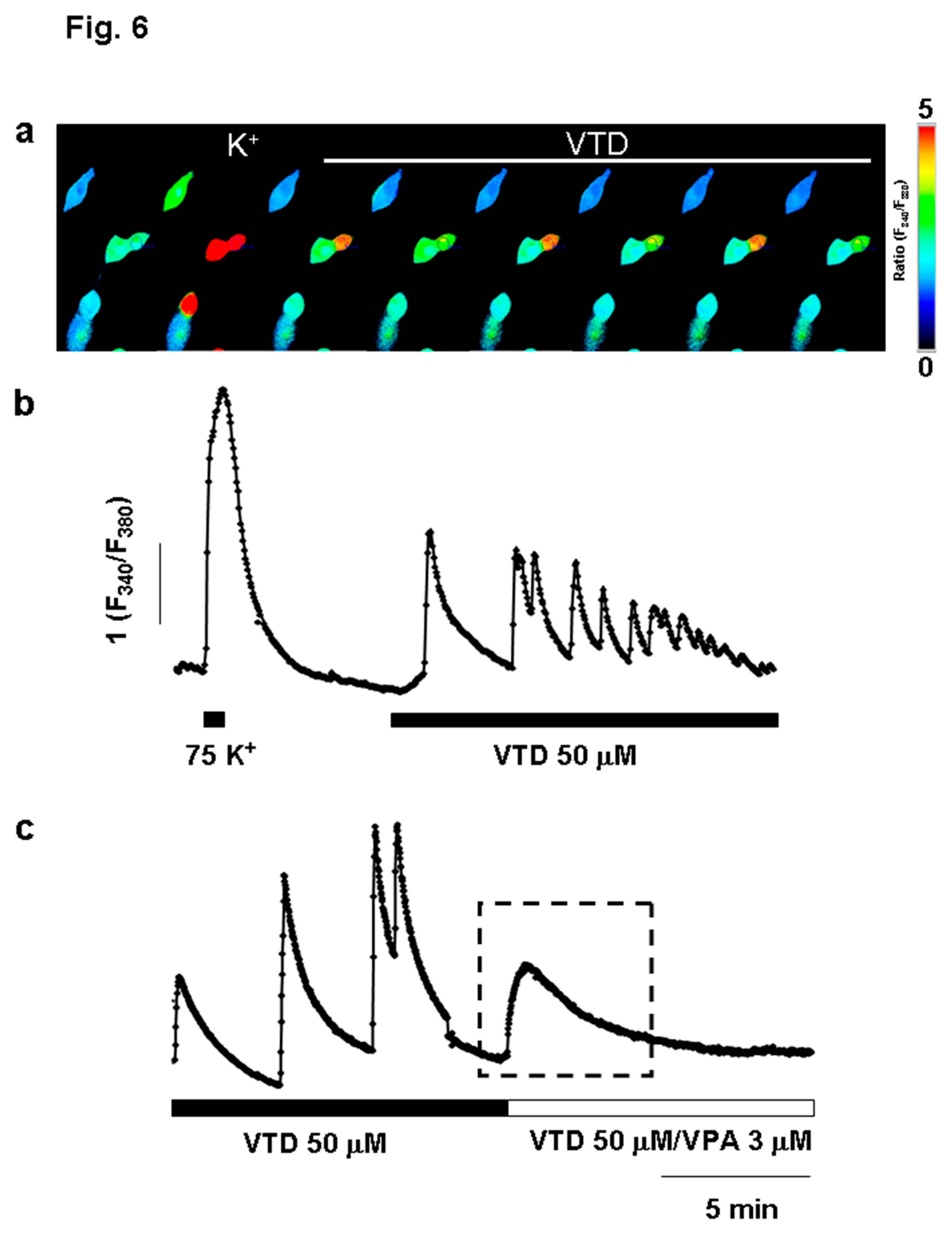 Preprints 189337 g006
