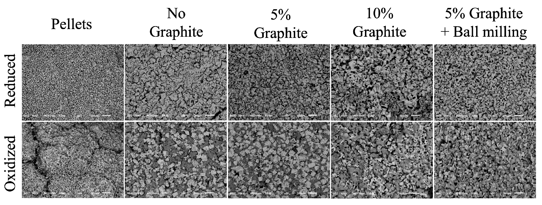 Preprints 198313 g004