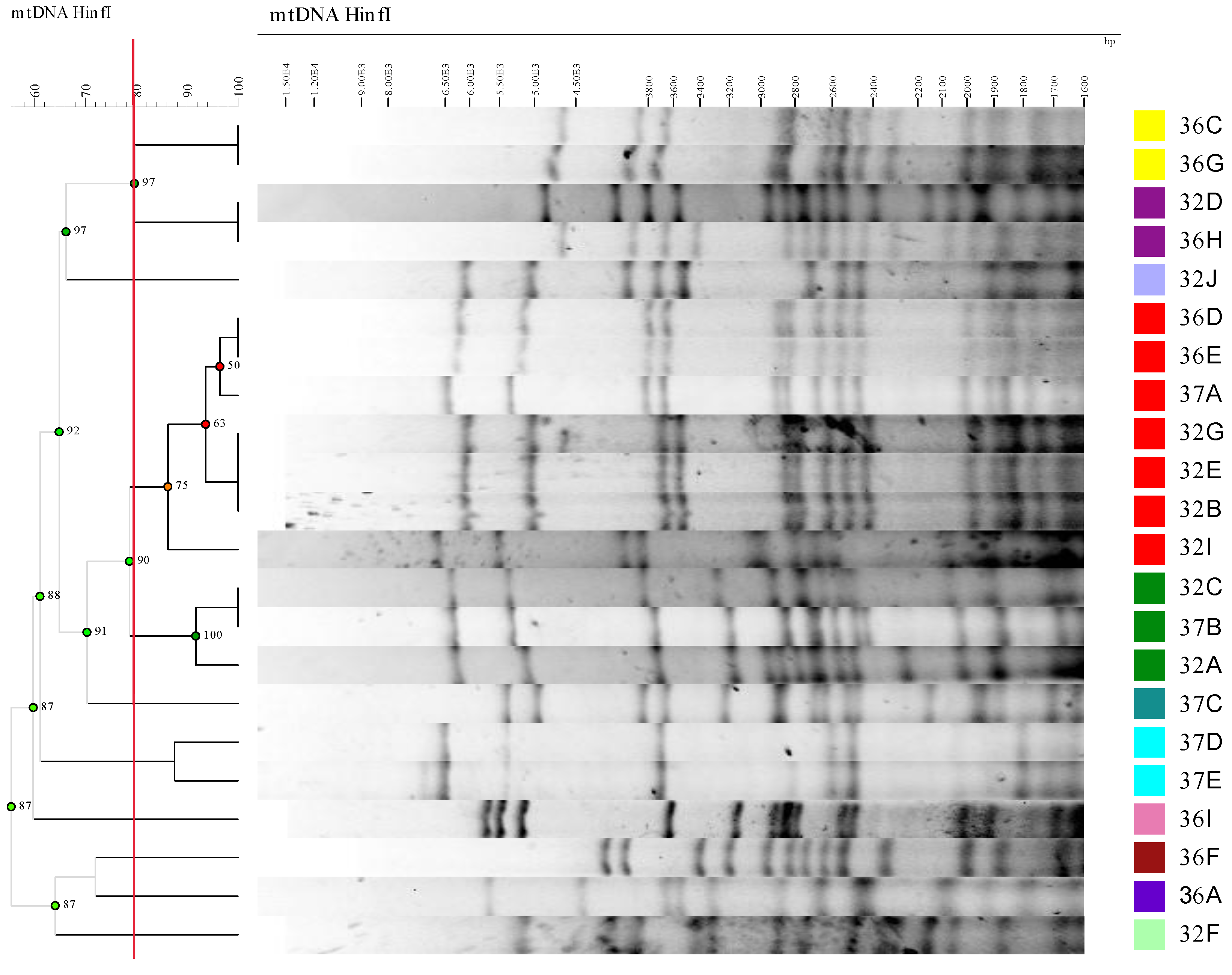 Preprints 75851 g001