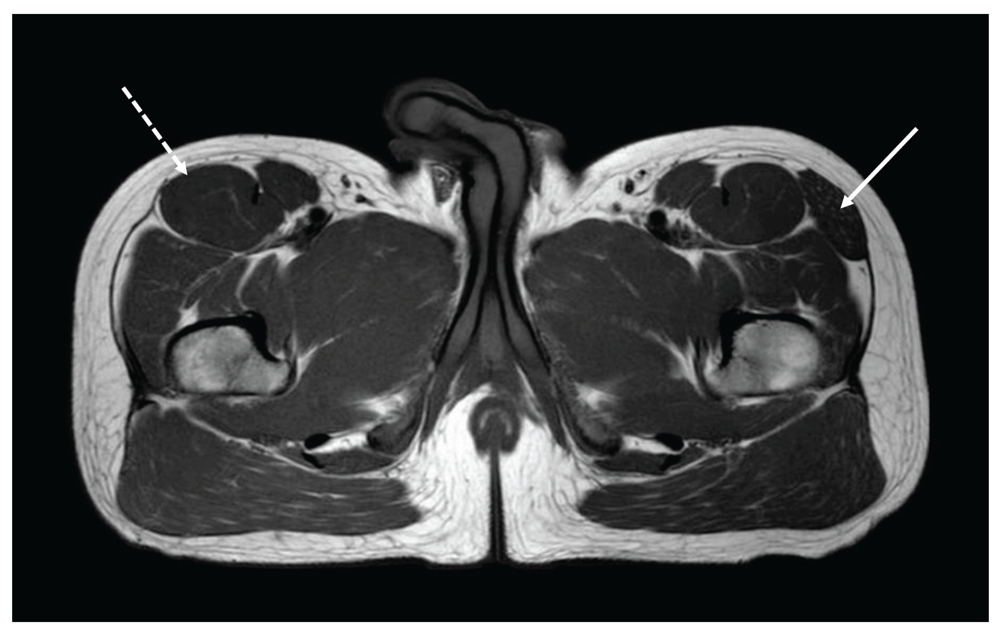 Preprints 173250 g001