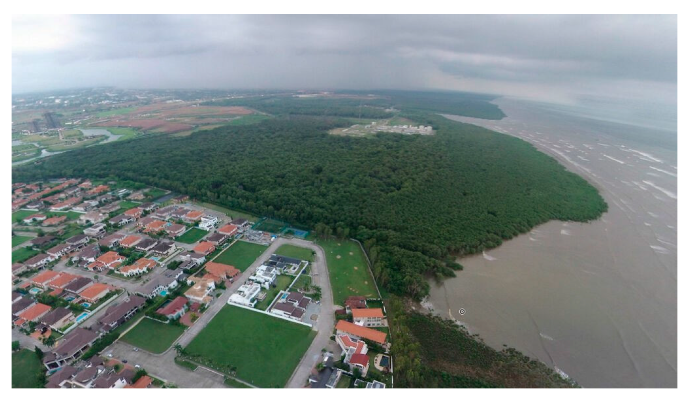 Preprints 82858 g001