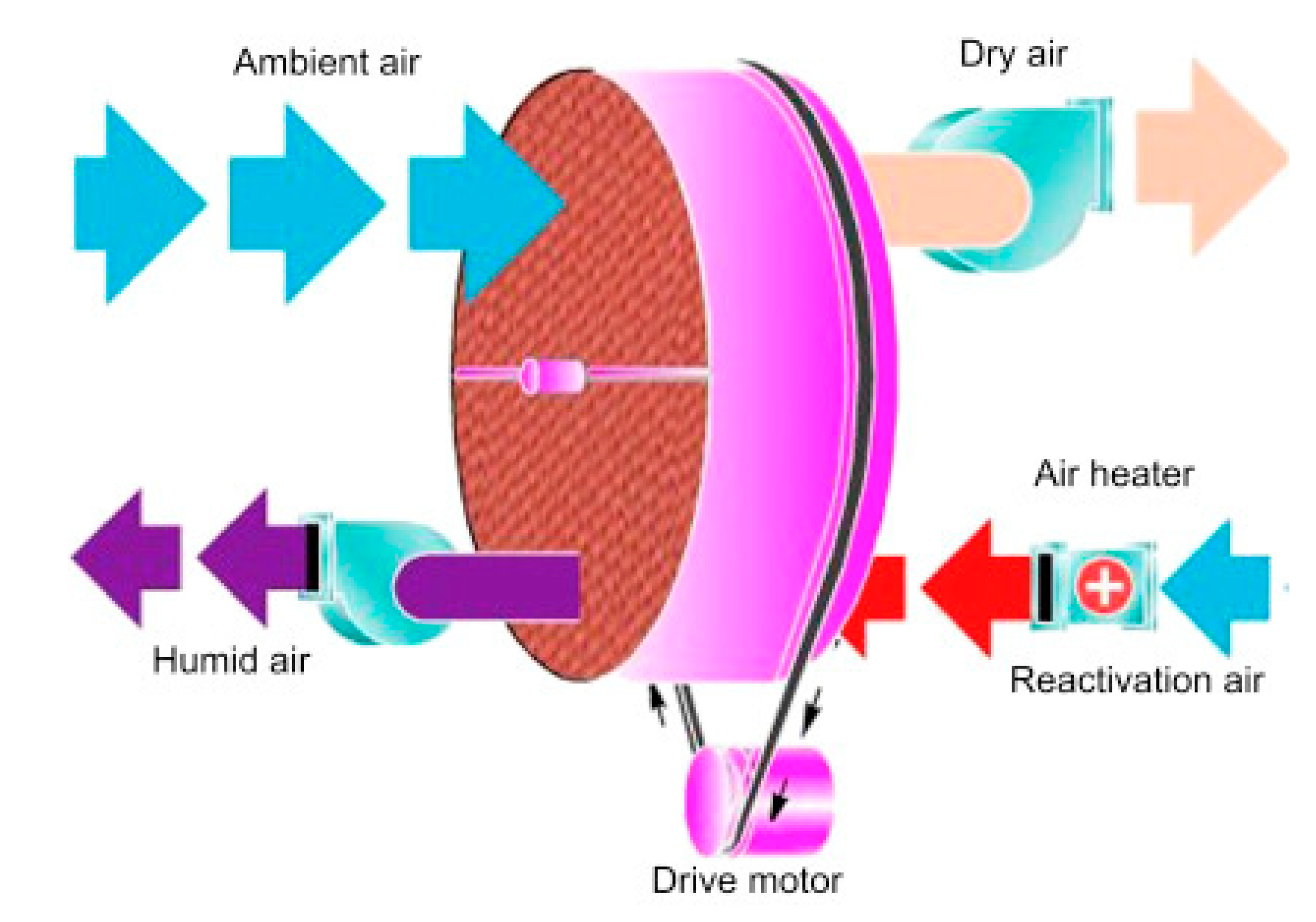 Preprints 77033 g004