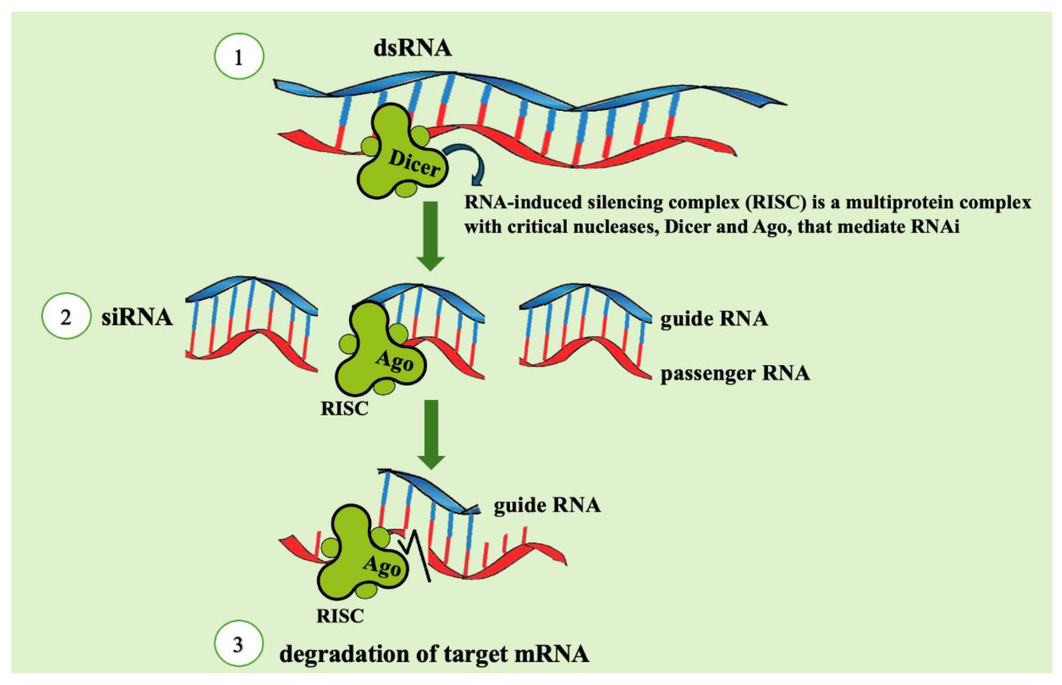 Preprints 167736 g001