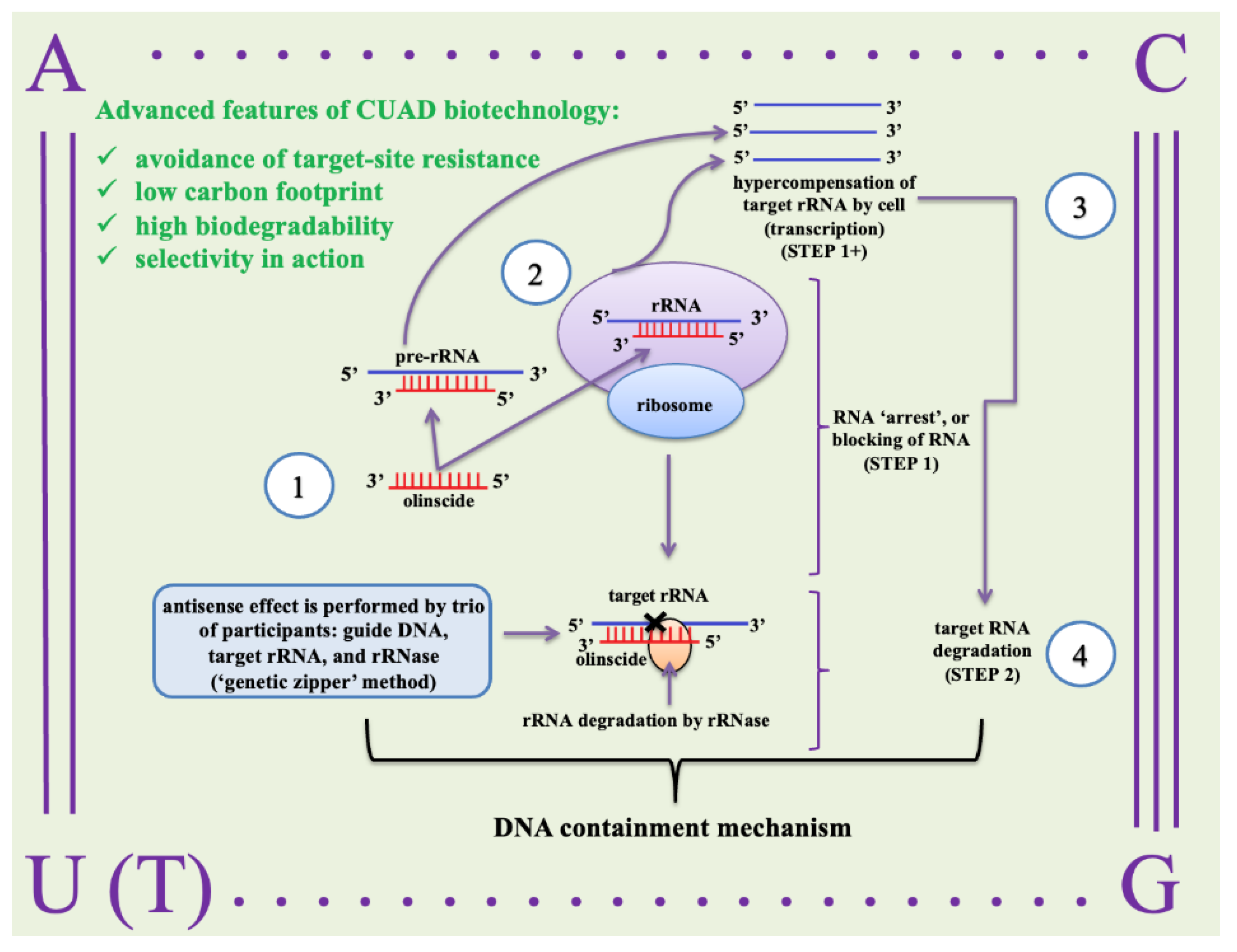 Preprints 167736 g002