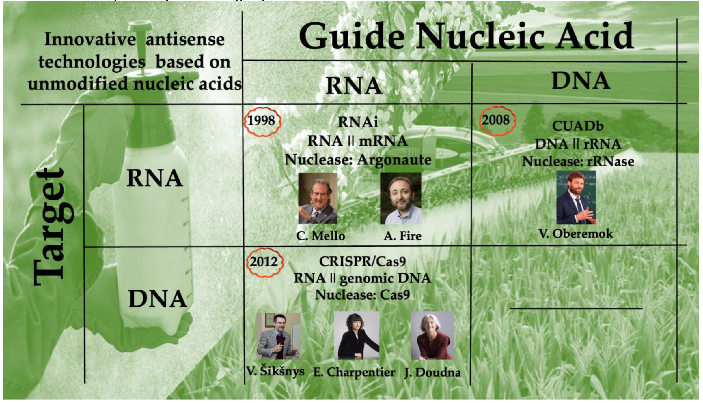 Preprints 167736 i001