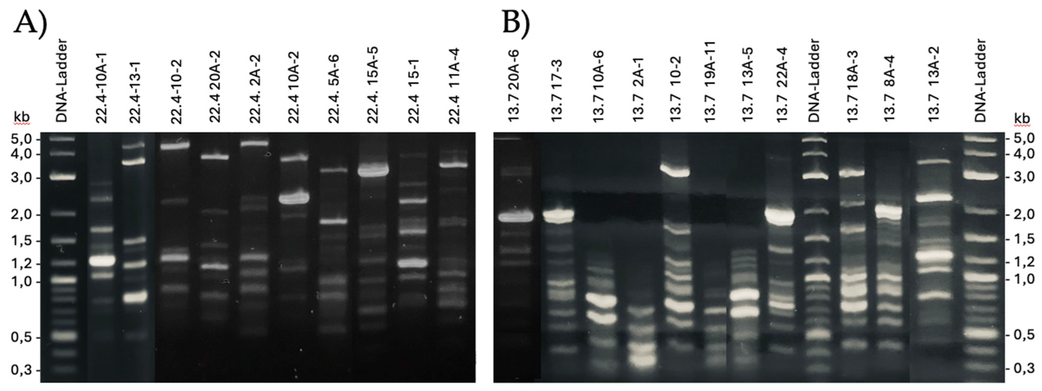 Preprints 140315 g001