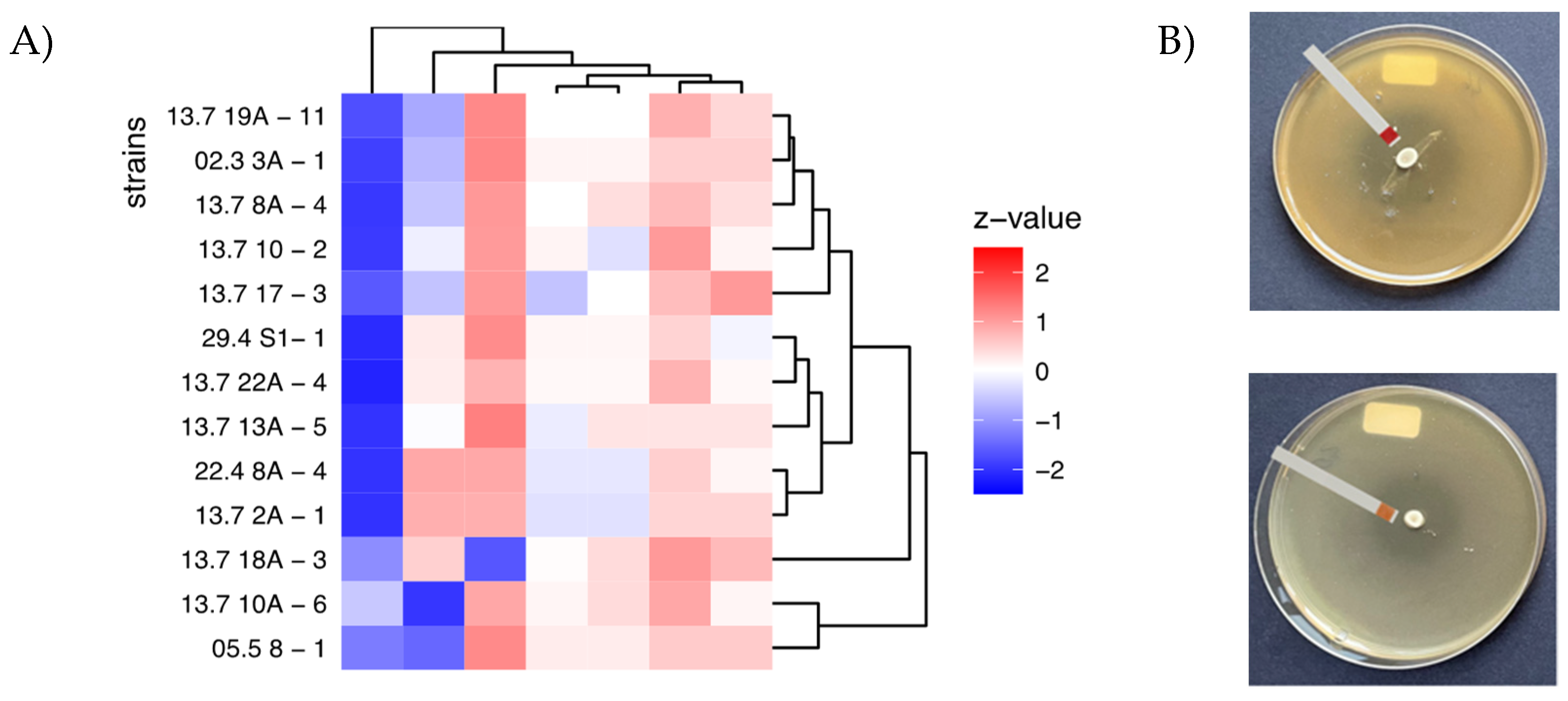 Preprints 140315 g004