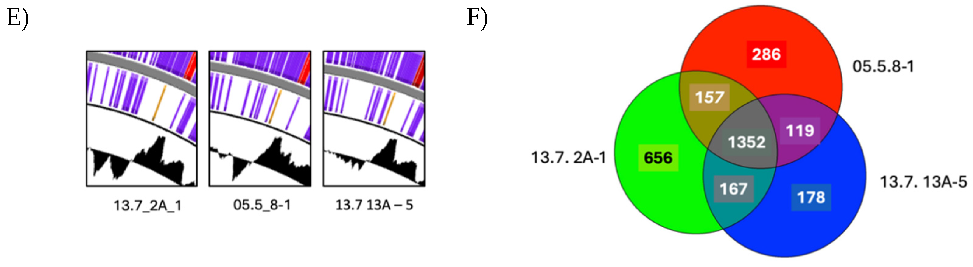 Preprints 140315 g006b