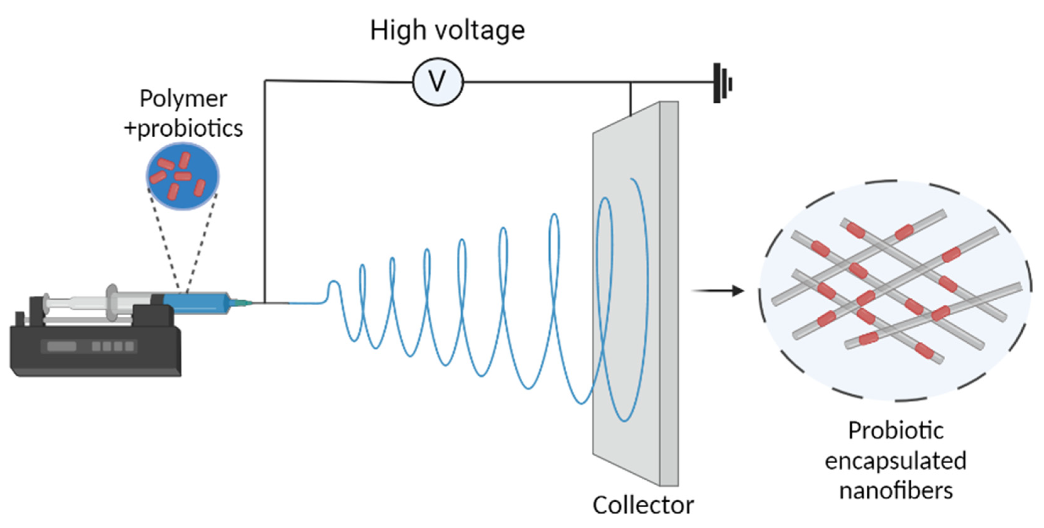 Preprints 168729 g002